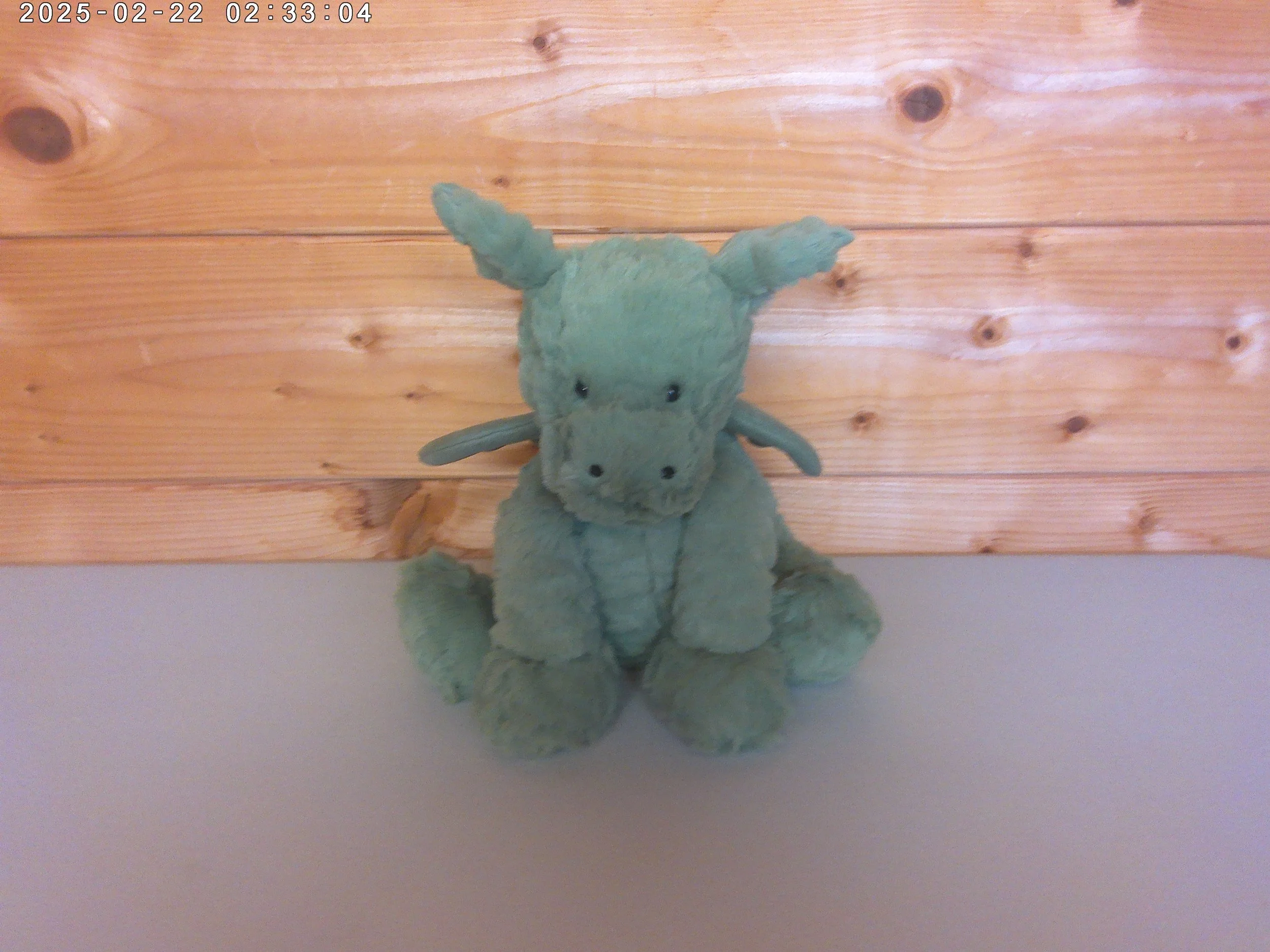 Fuddlewuddle dragon - photo 1.jpg