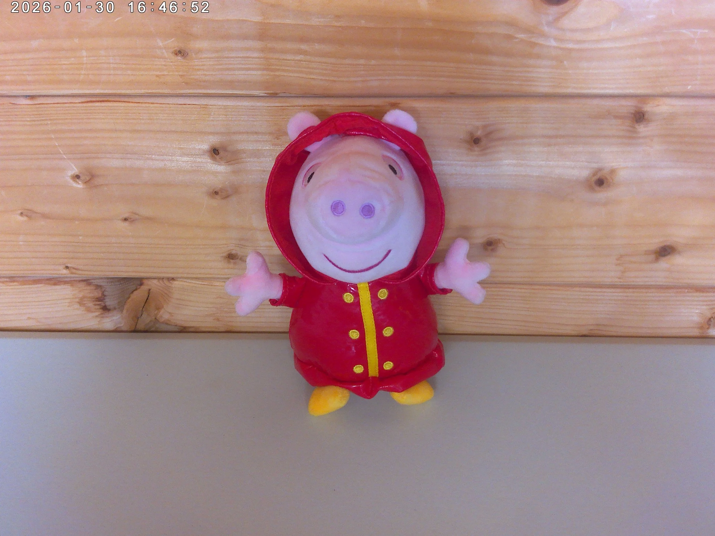 Peppa raincoat - photo 1.jpg