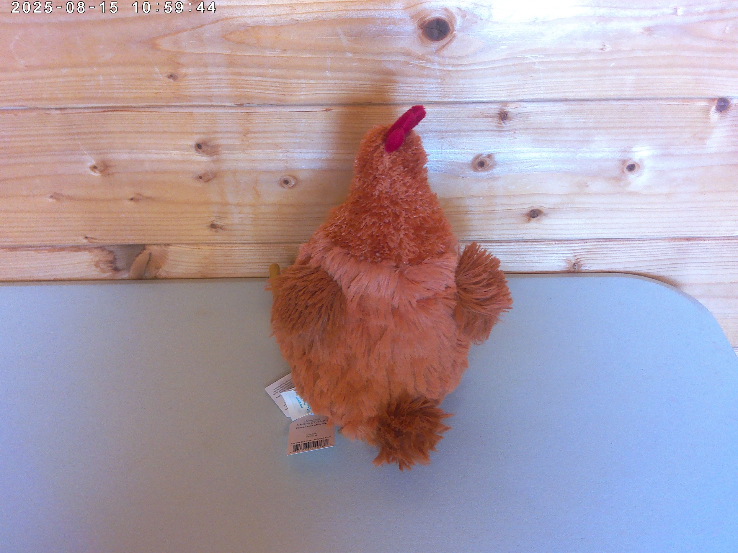 Celia chicken - photo 2.jpg