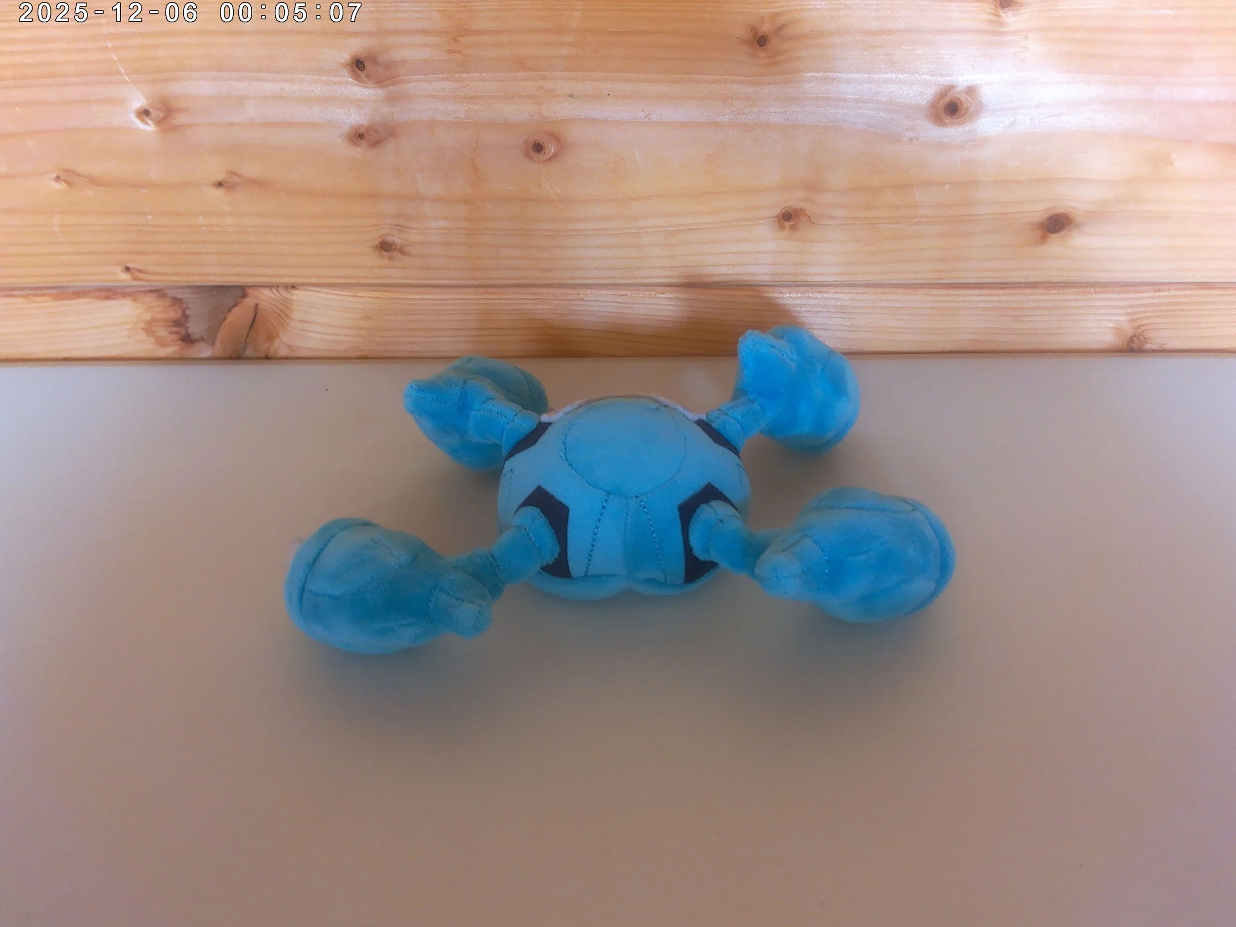 Metagross - photo 2.jpg