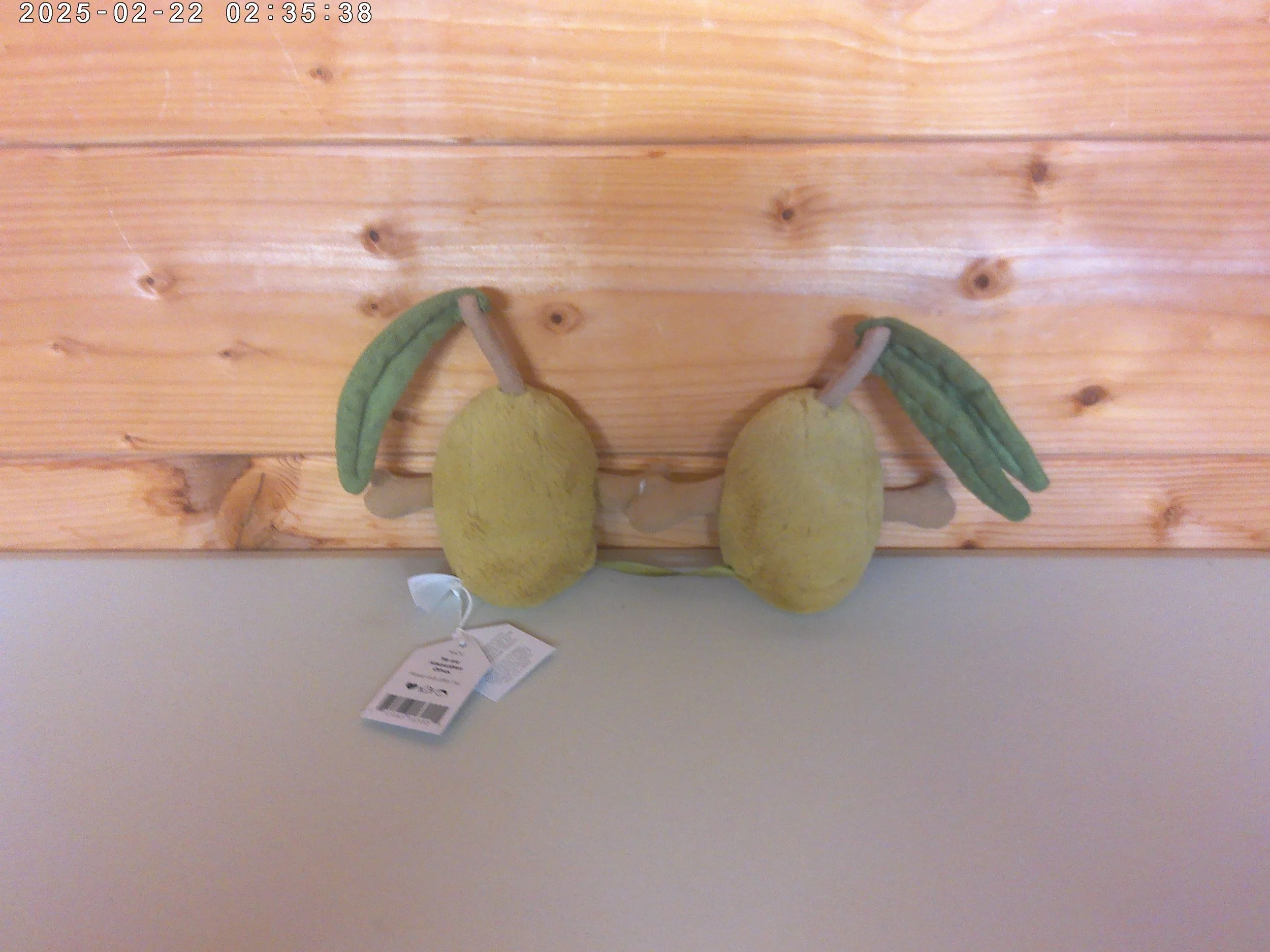 Olives - photo 2.jpg