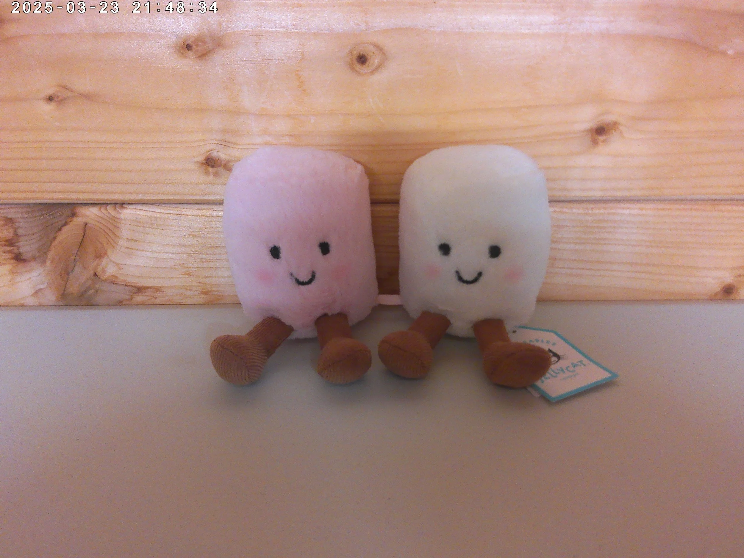 Marshmallows - photo 1.jpg