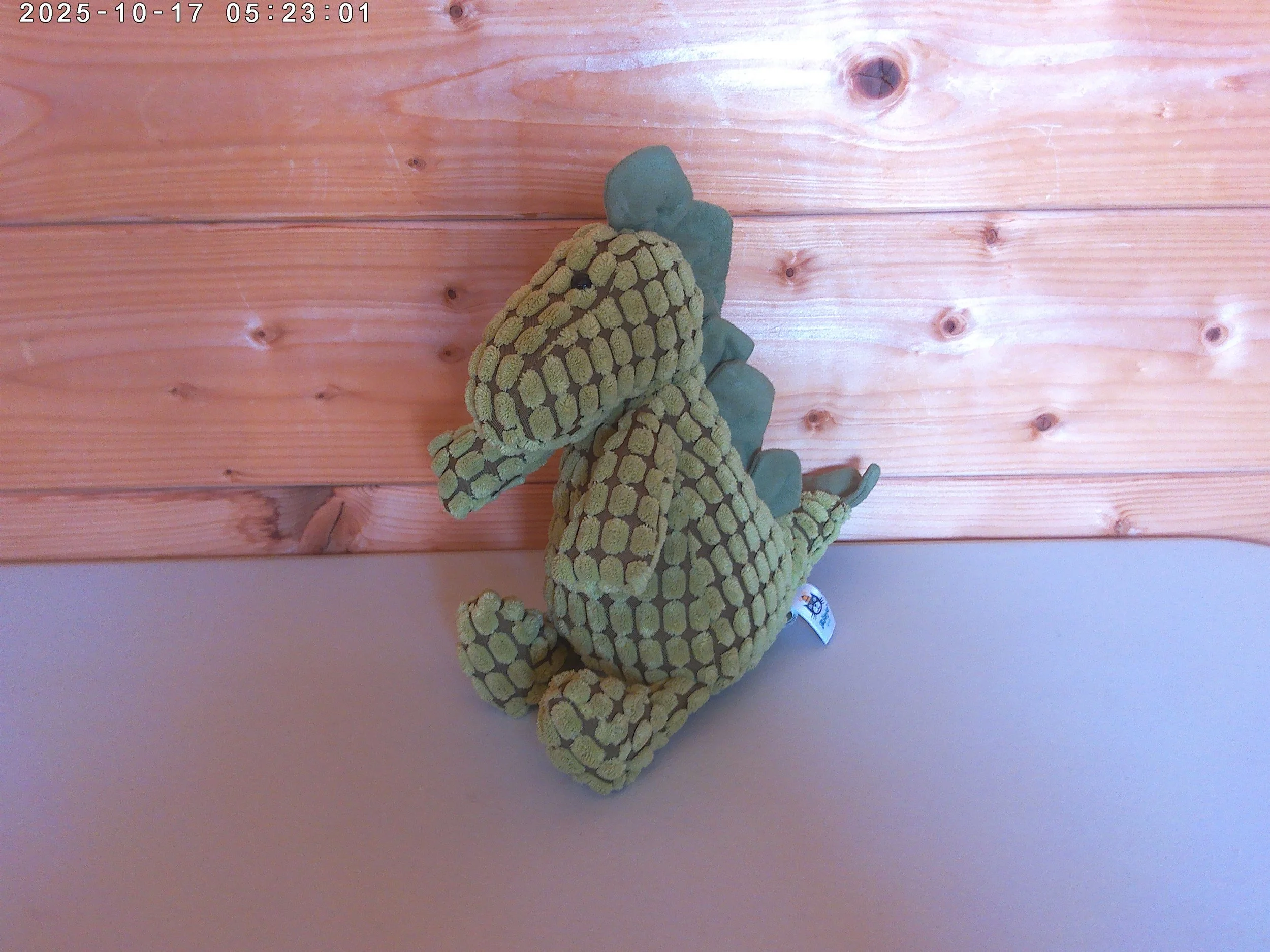 cordy roy dino - photo 2.jpg