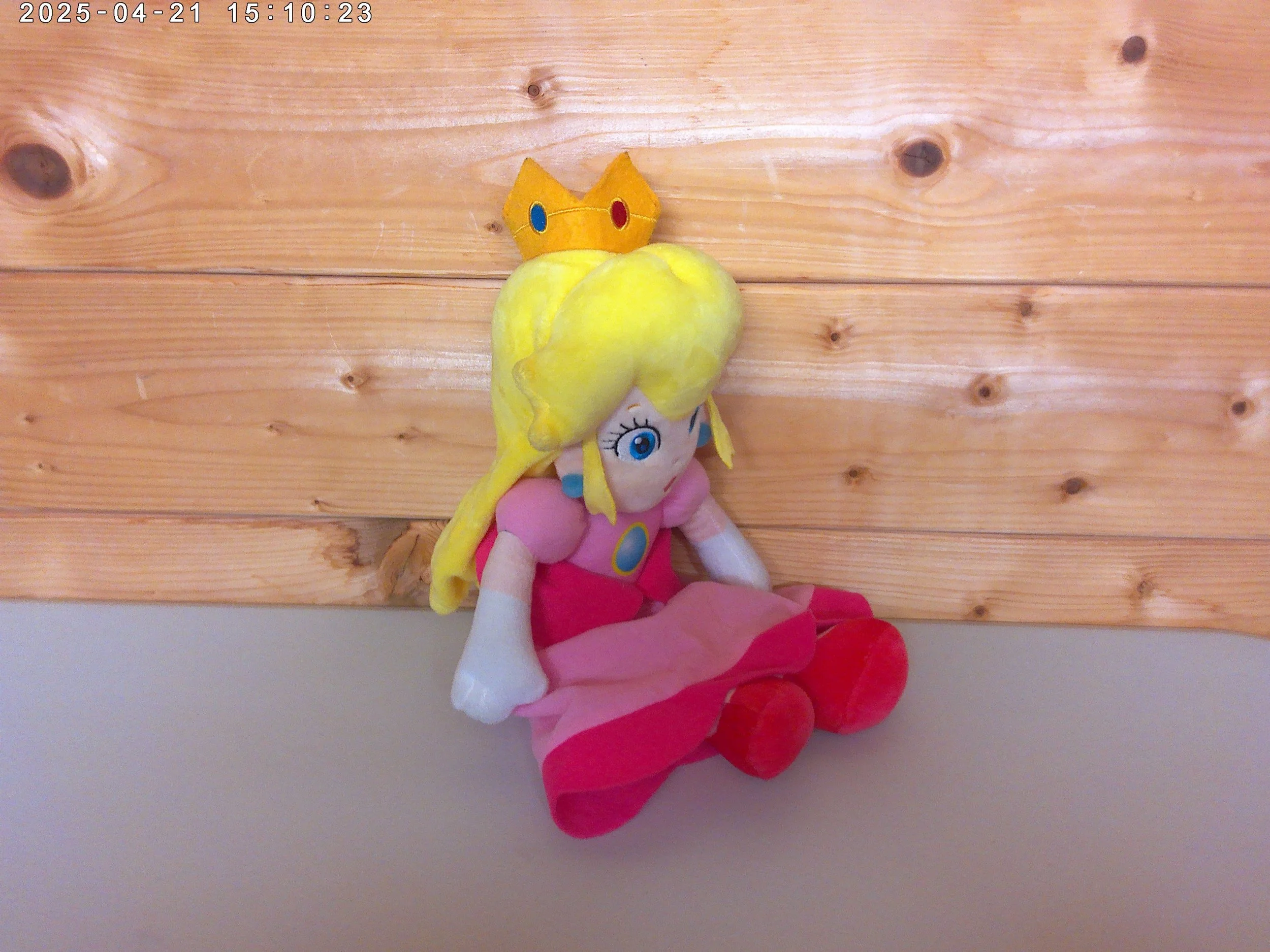 Peach plush medium - photo 2.jpg