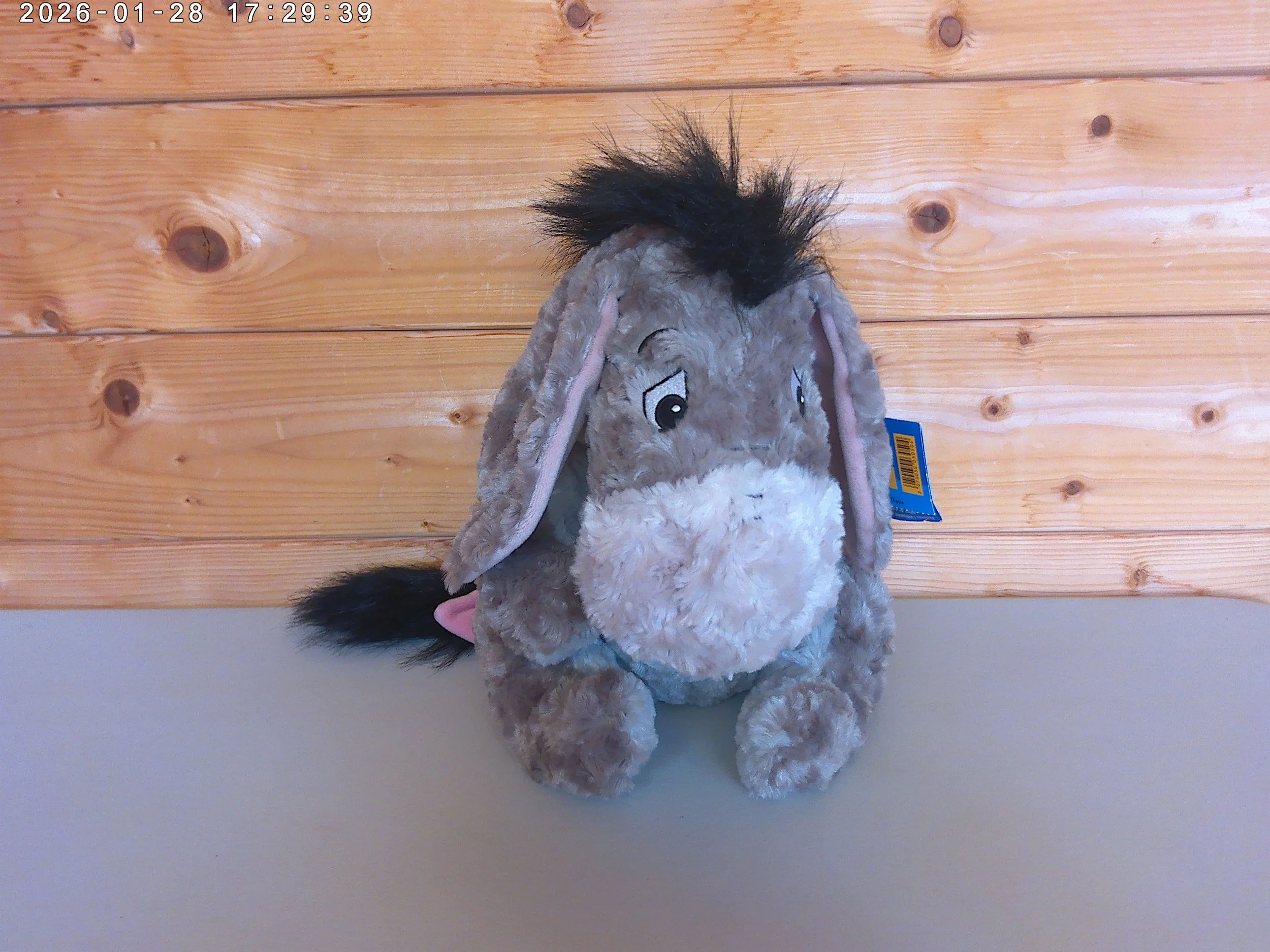 Eeyore - photo 6.jpg