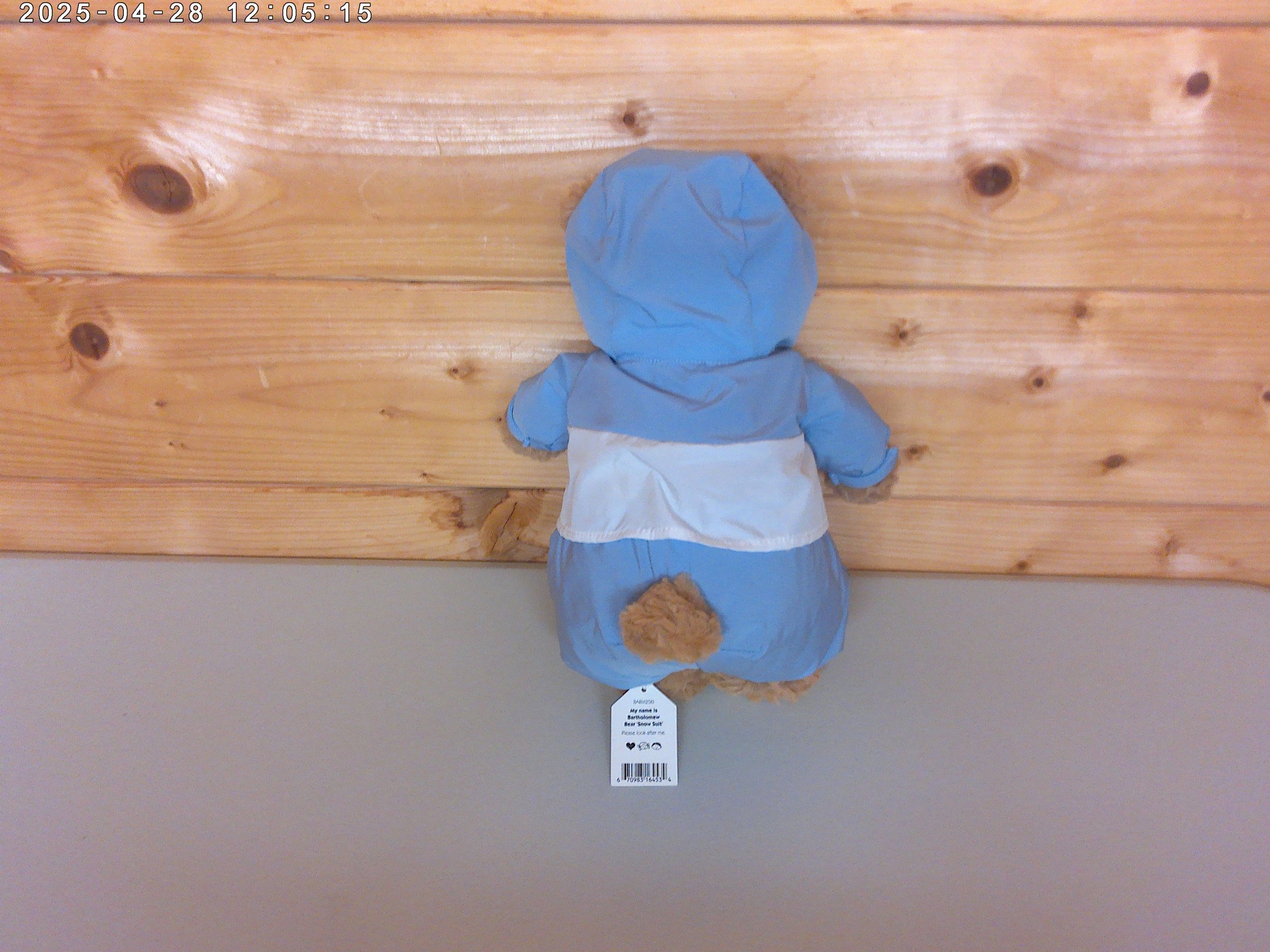 bartholomew bear snow suit photo 2.jpg