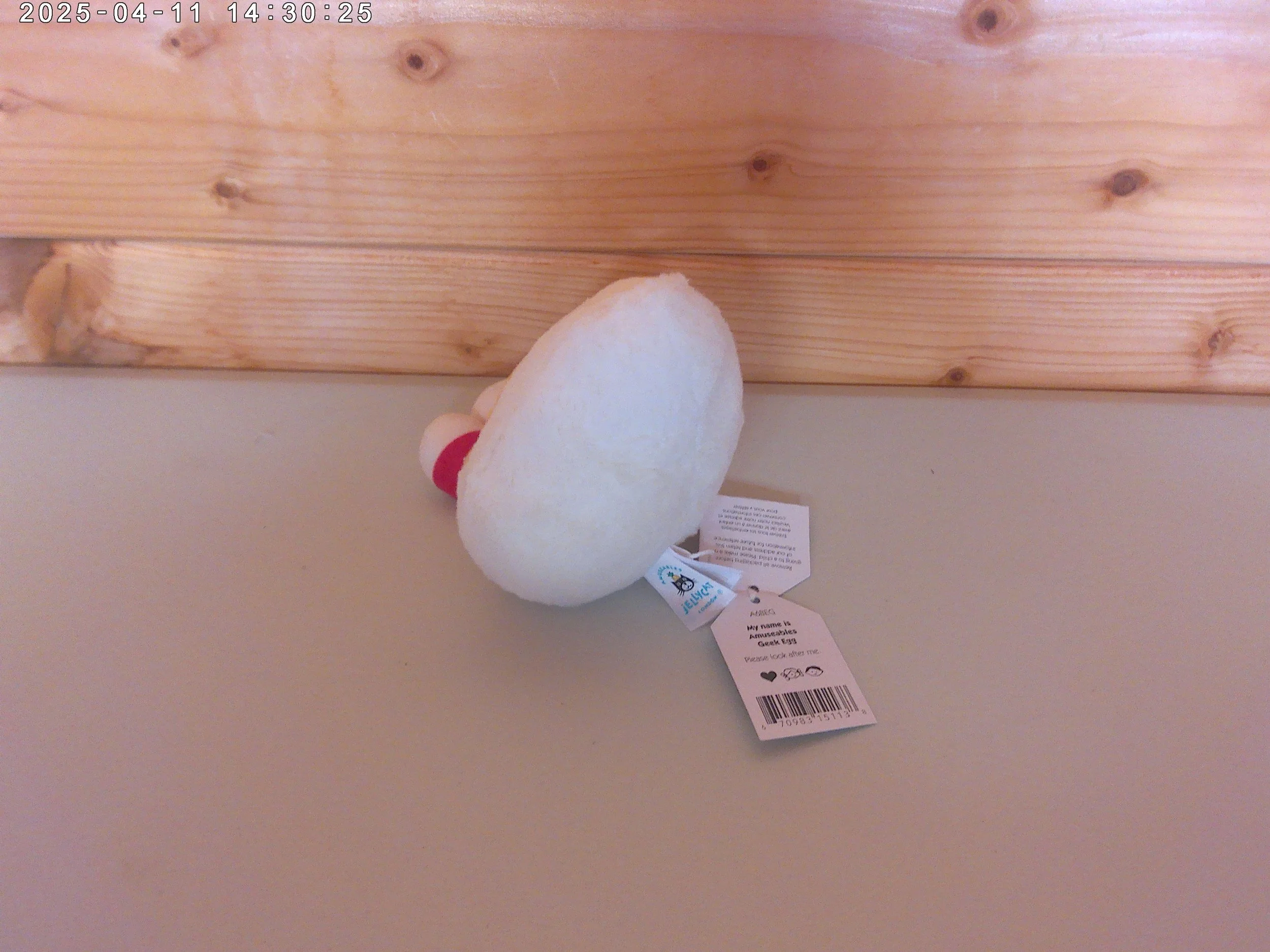 Geek egg - photo 2.jpg