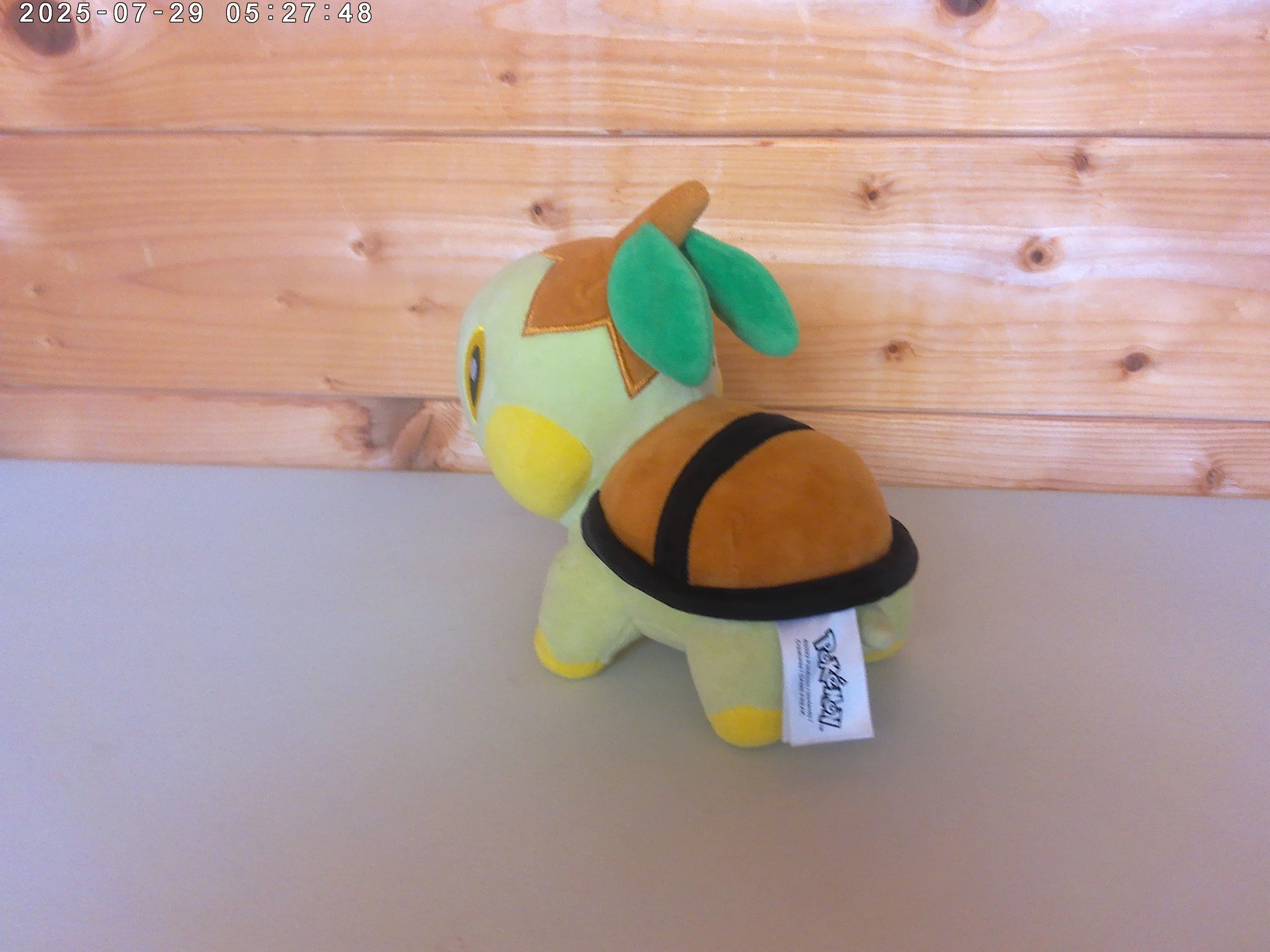 Turtwig - photo 2.jpg
