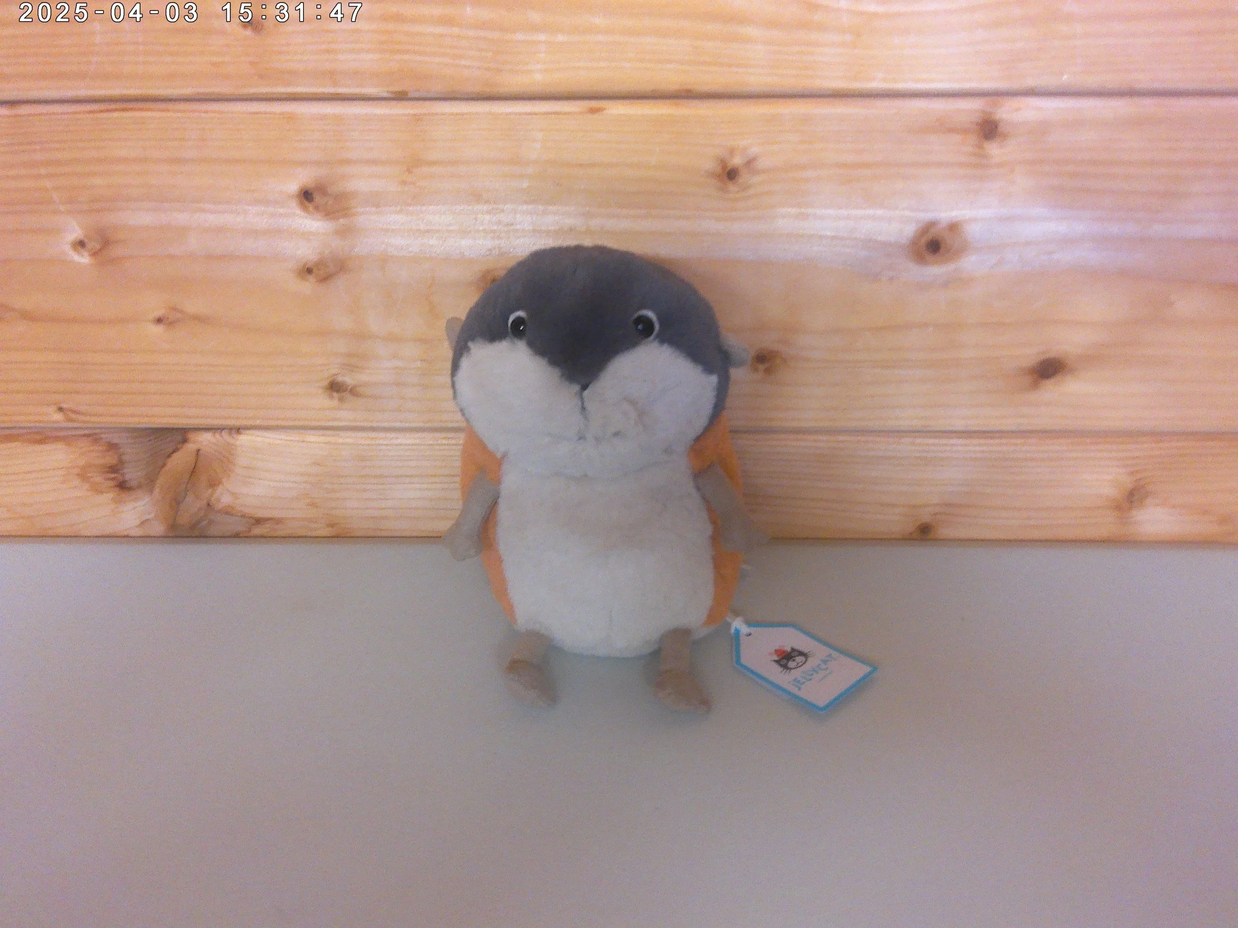 Jellycat Lambeth Lemming - New with Tags