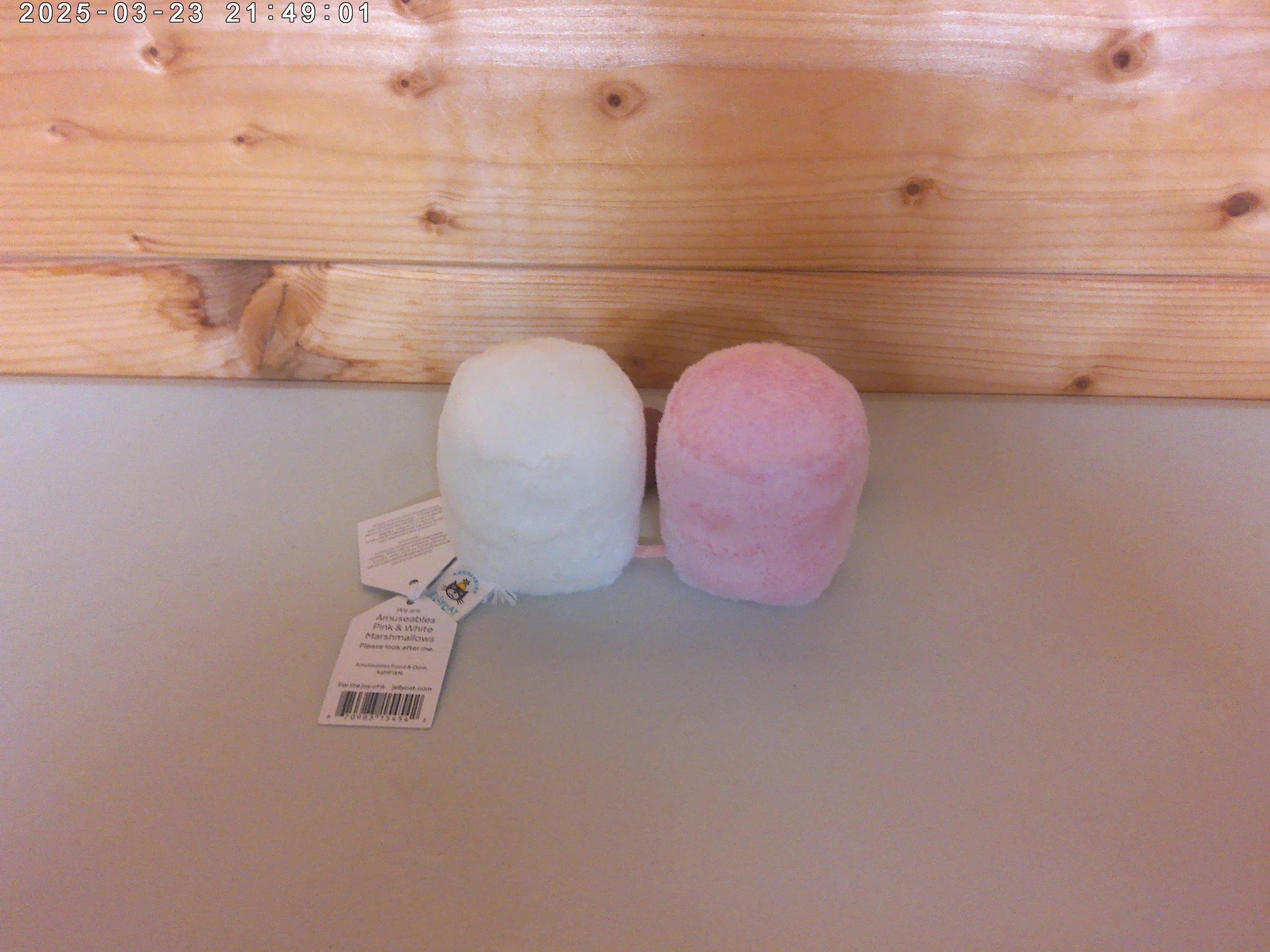 Marshmallow - photo 2.jpg