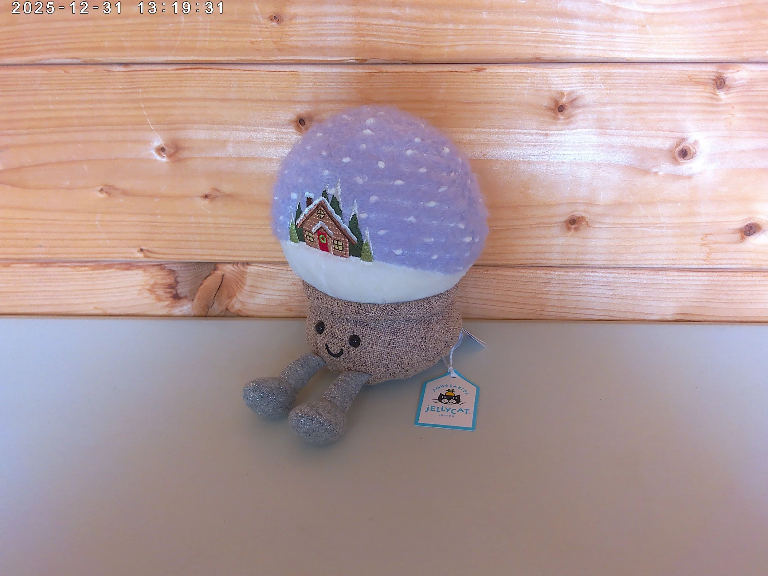 Snowglobe - photo 3.jpg