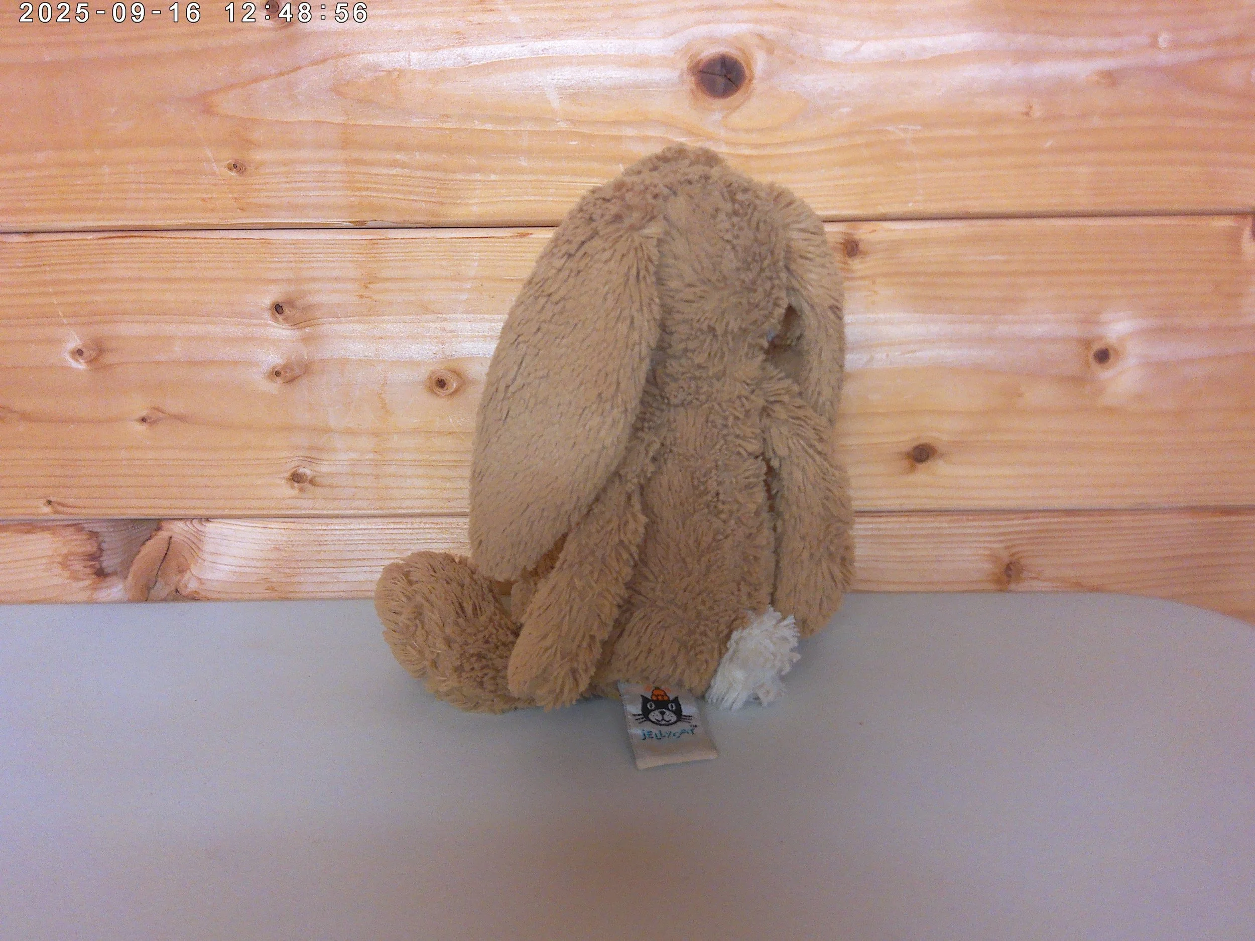 Wriggle bunny - photo 2.jpg