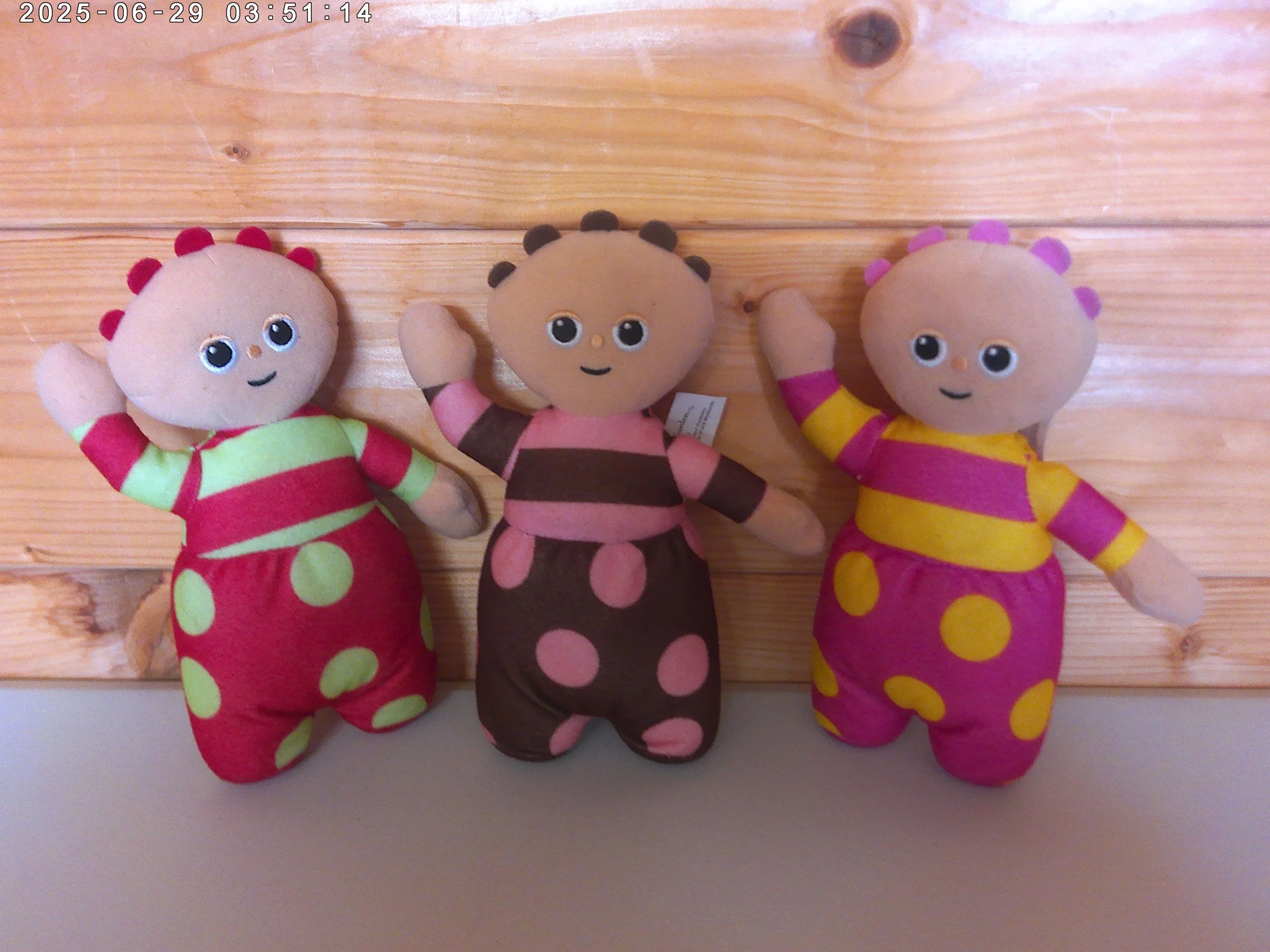 tomliboos photo 3.jpg