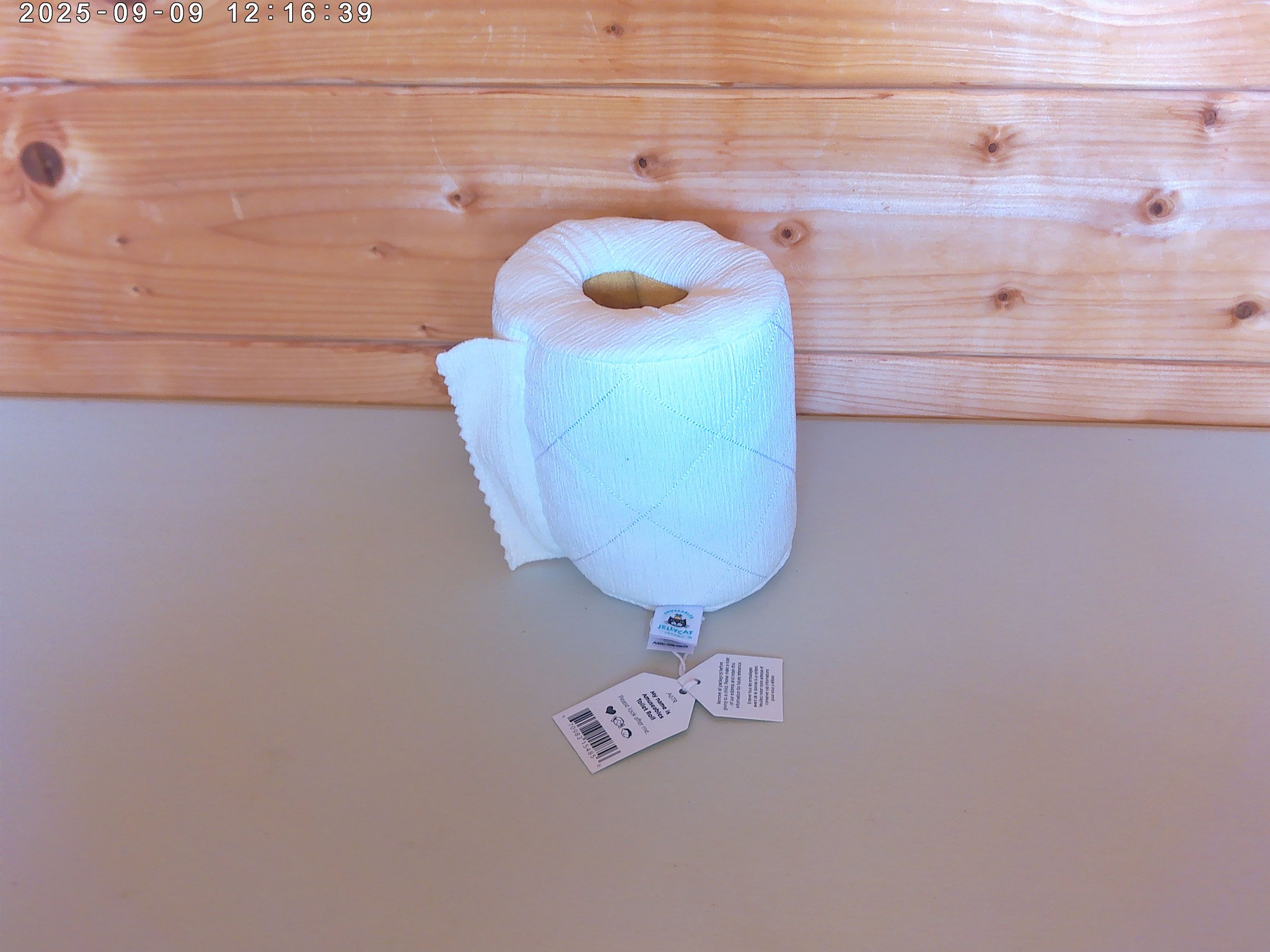 Toilet roll - photo 2.jpg