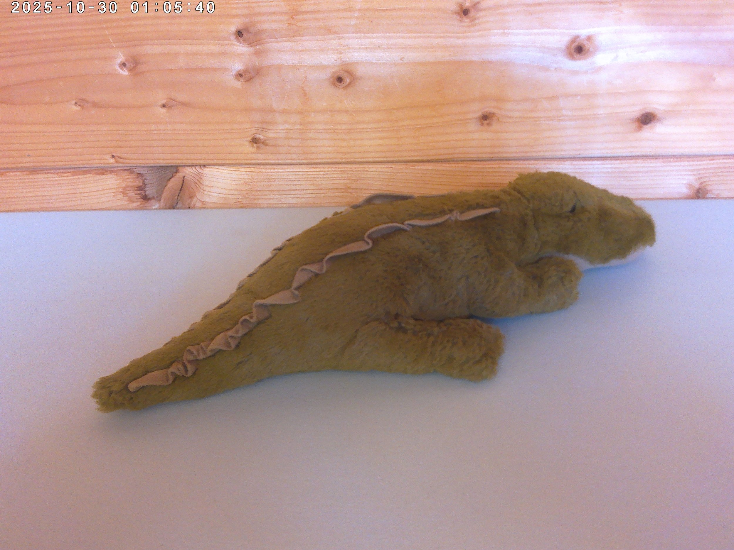 Lollybob croc - photo 3.jpg