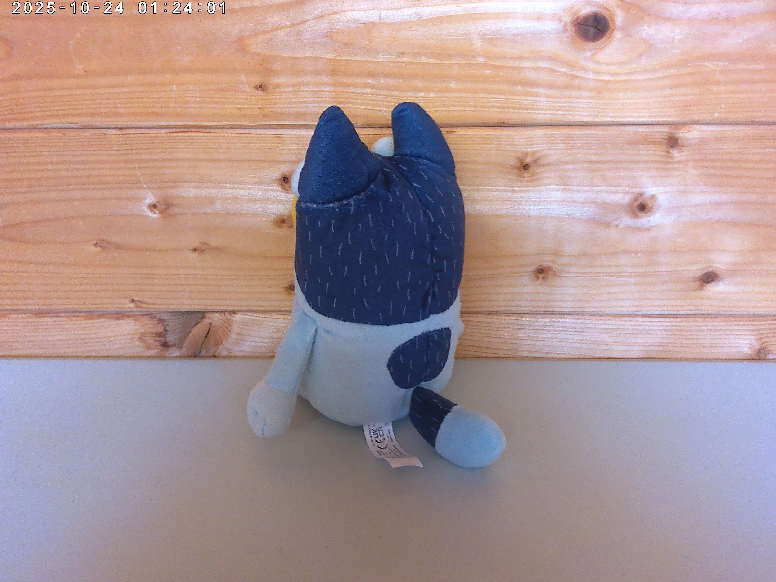 Bluey Bandit - photo 2.jpg