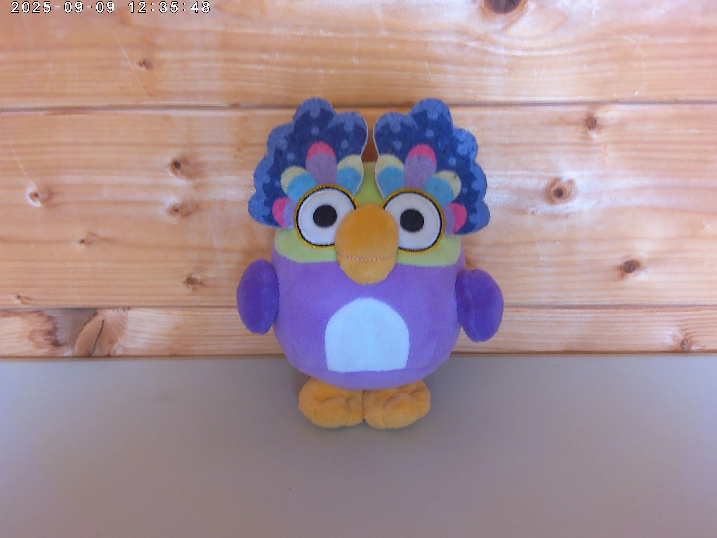 Chattermax Bird - photo 1.jpg