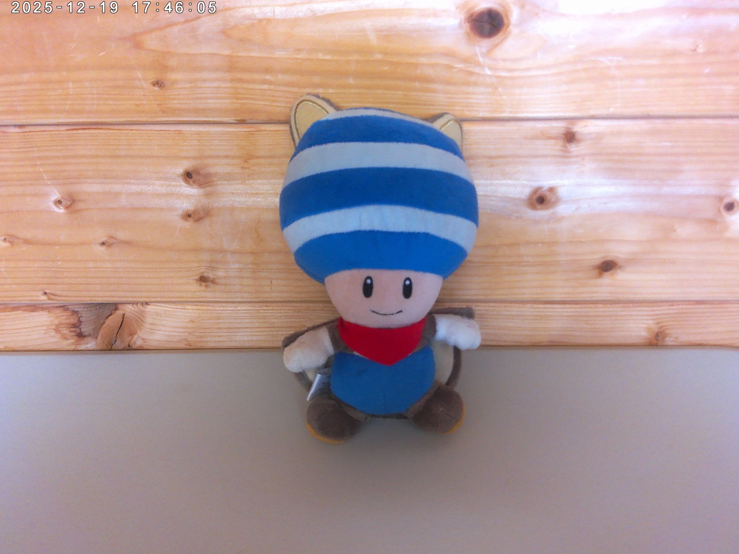 Super Mario Toad Flying Squirrel Plush