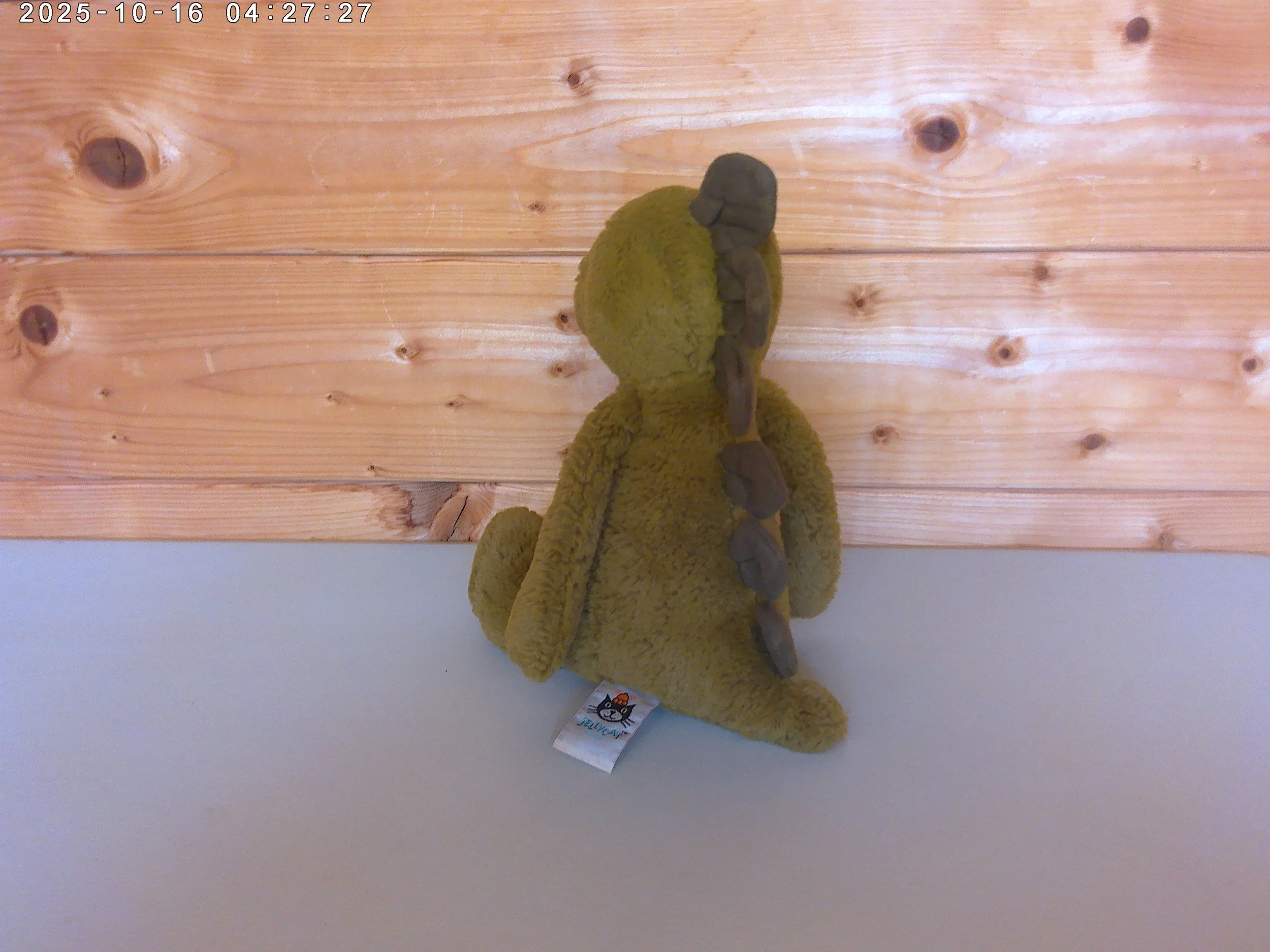 Bashful dino - photo 3.jpg