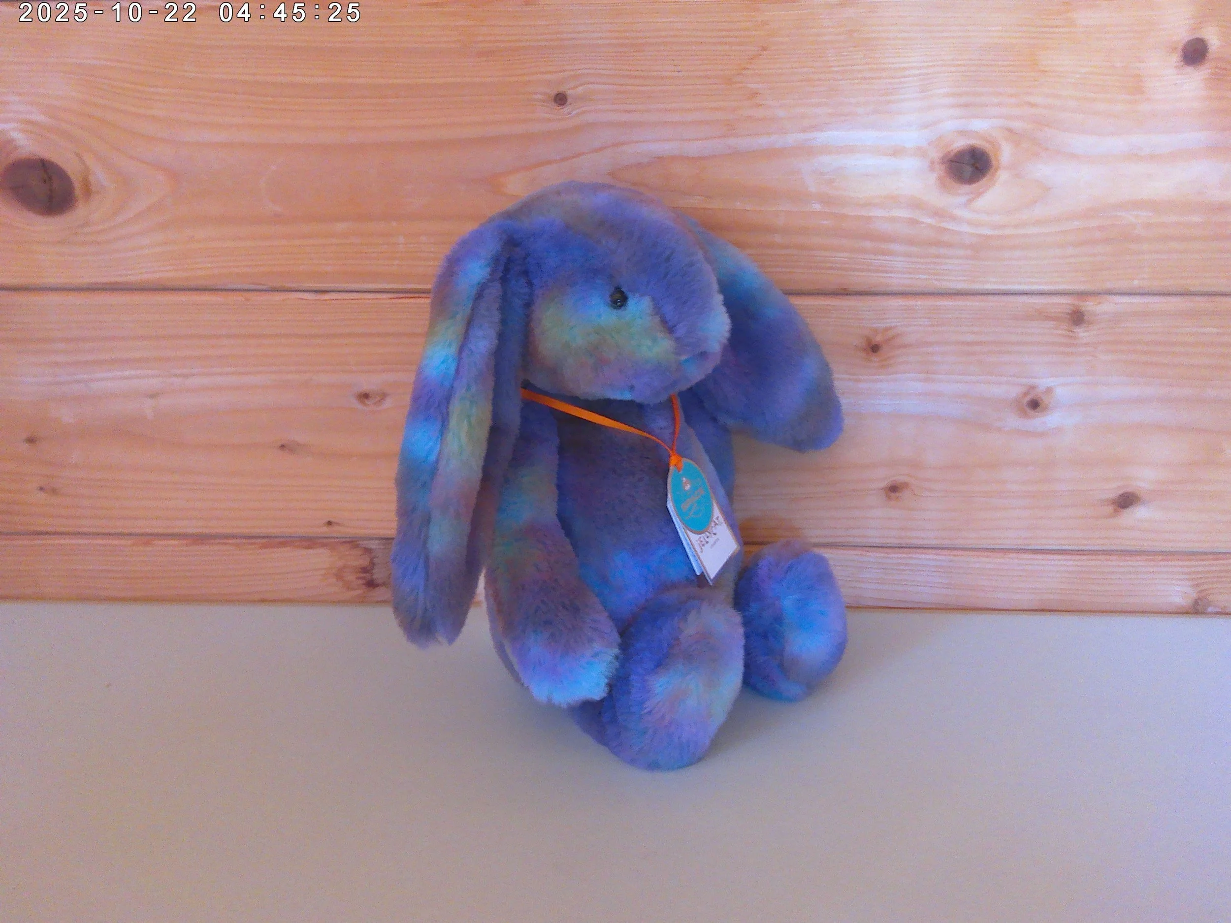 Zodihop bunny - photo 4.jpg
