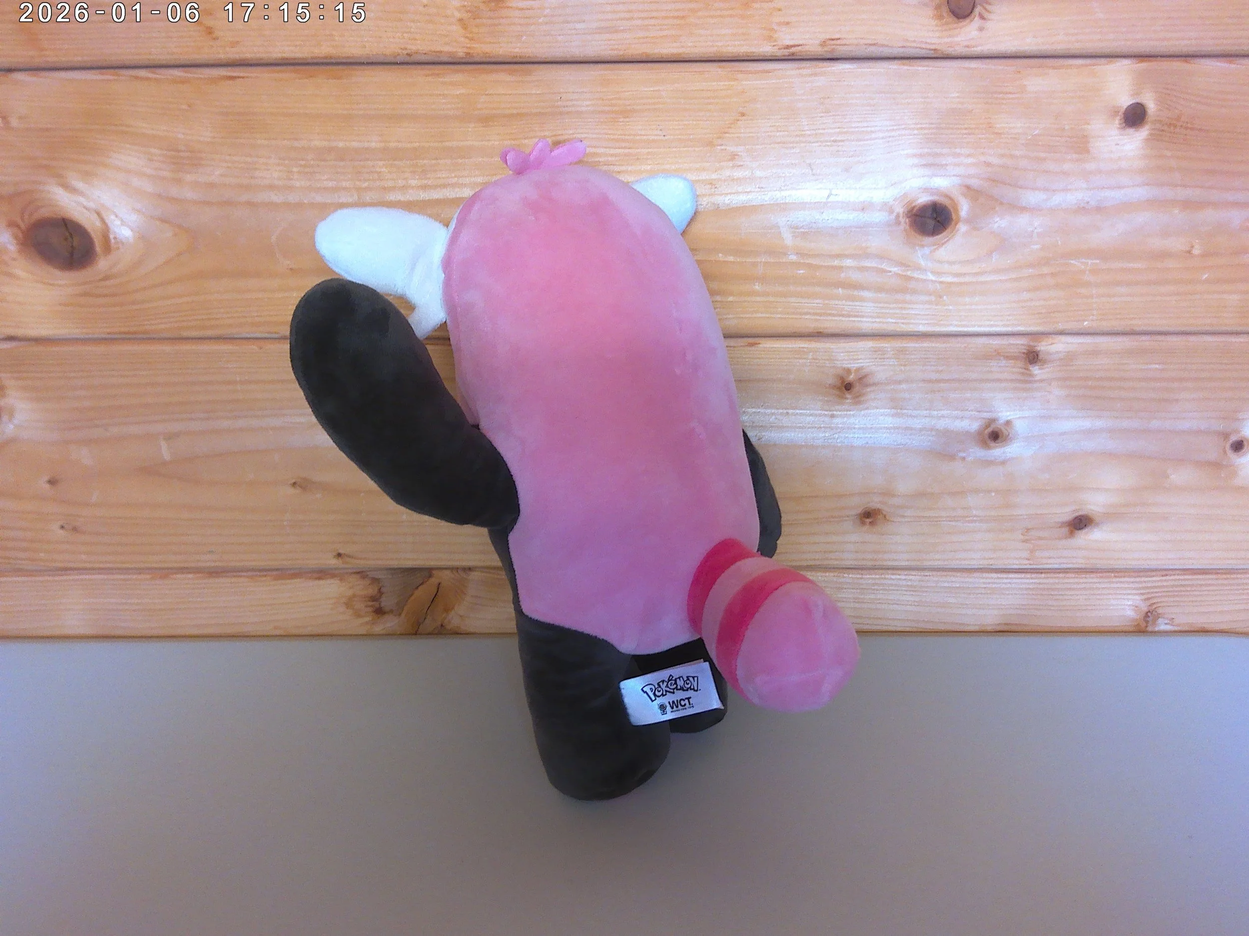 Bewear - photo 2.jpg