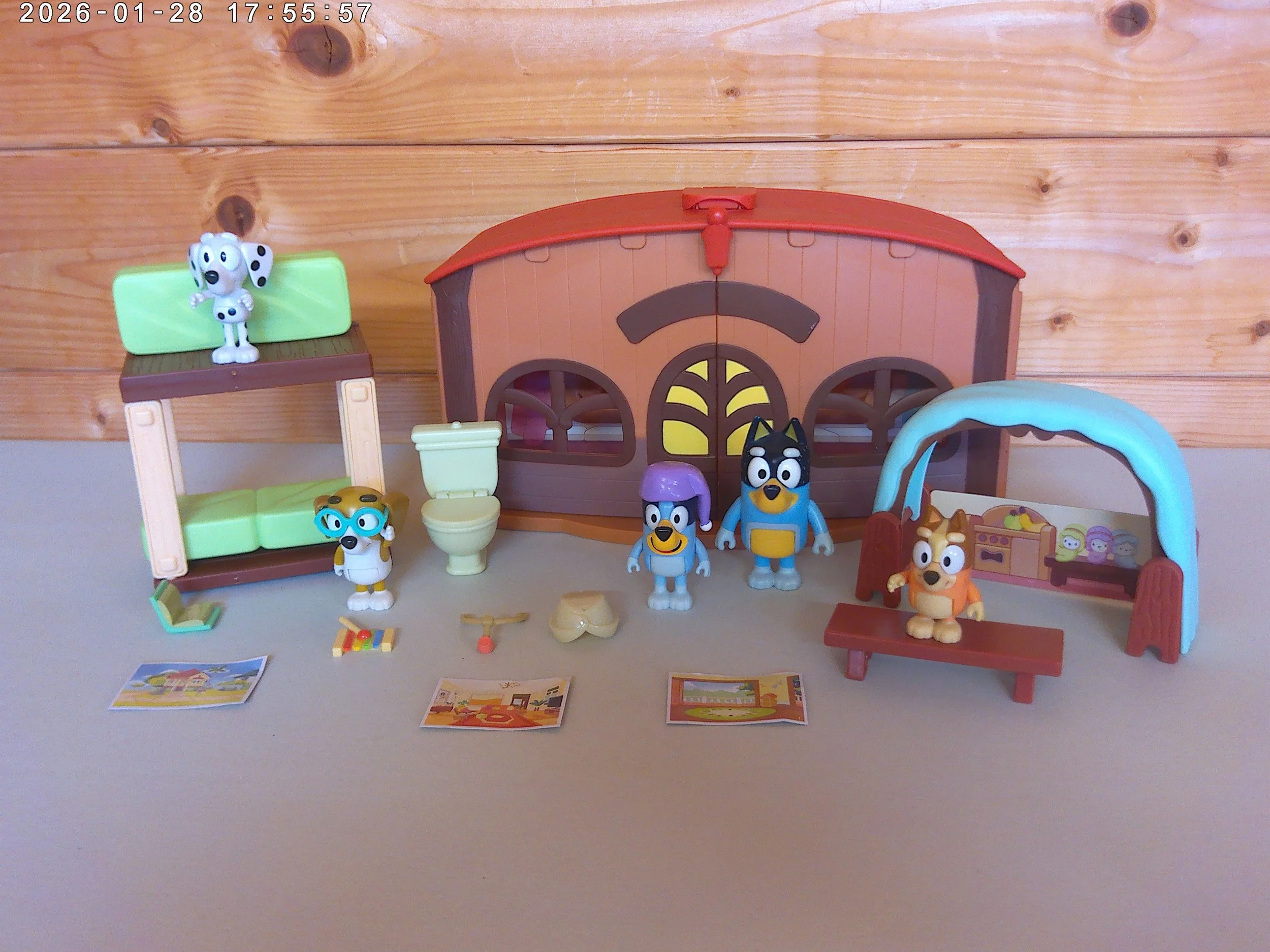 Bluey School - photo 1.jpg