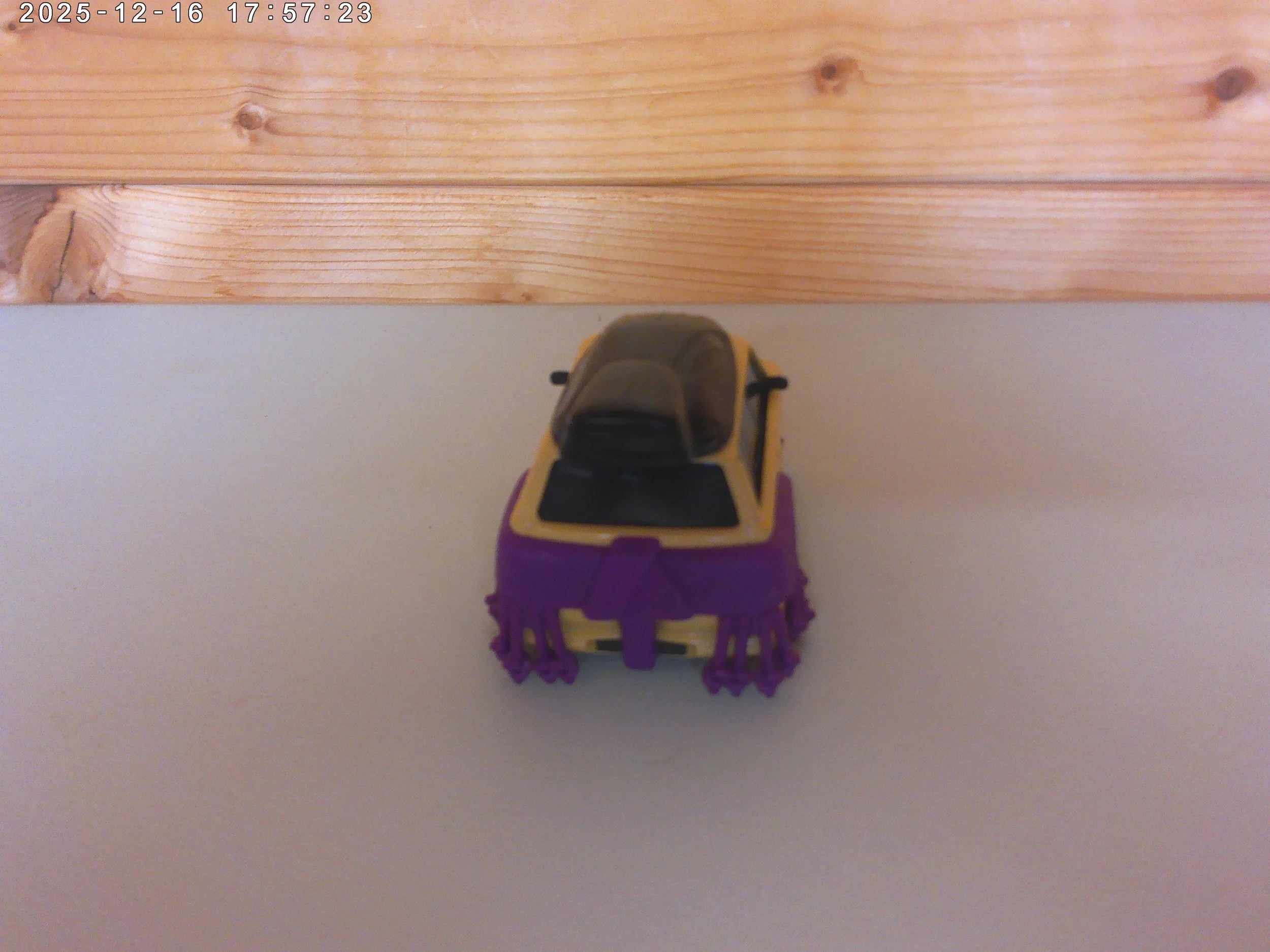 Sumo Wrestler - photo 2.jpg