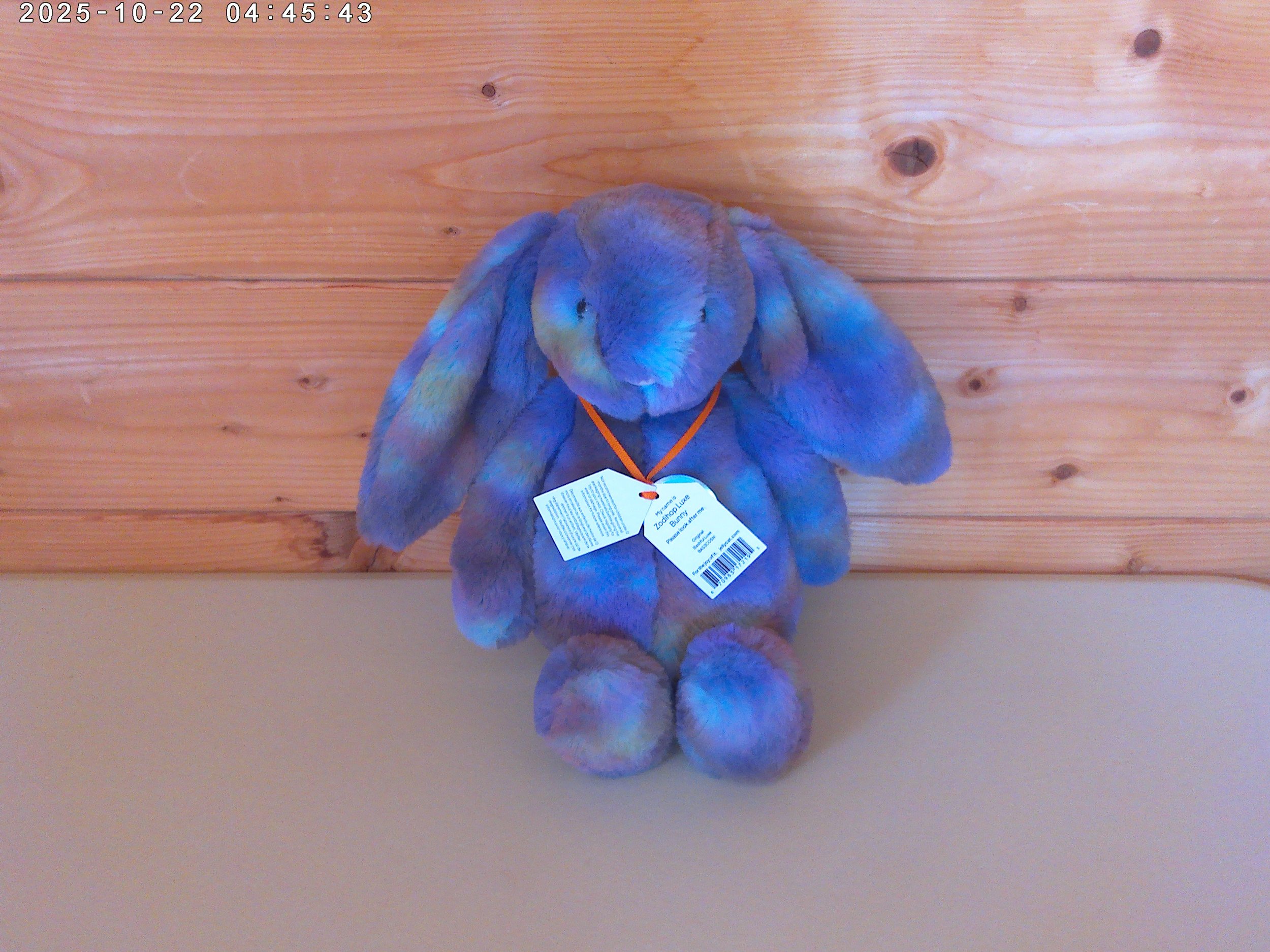 Zodihop bunny - photo 3.jpg