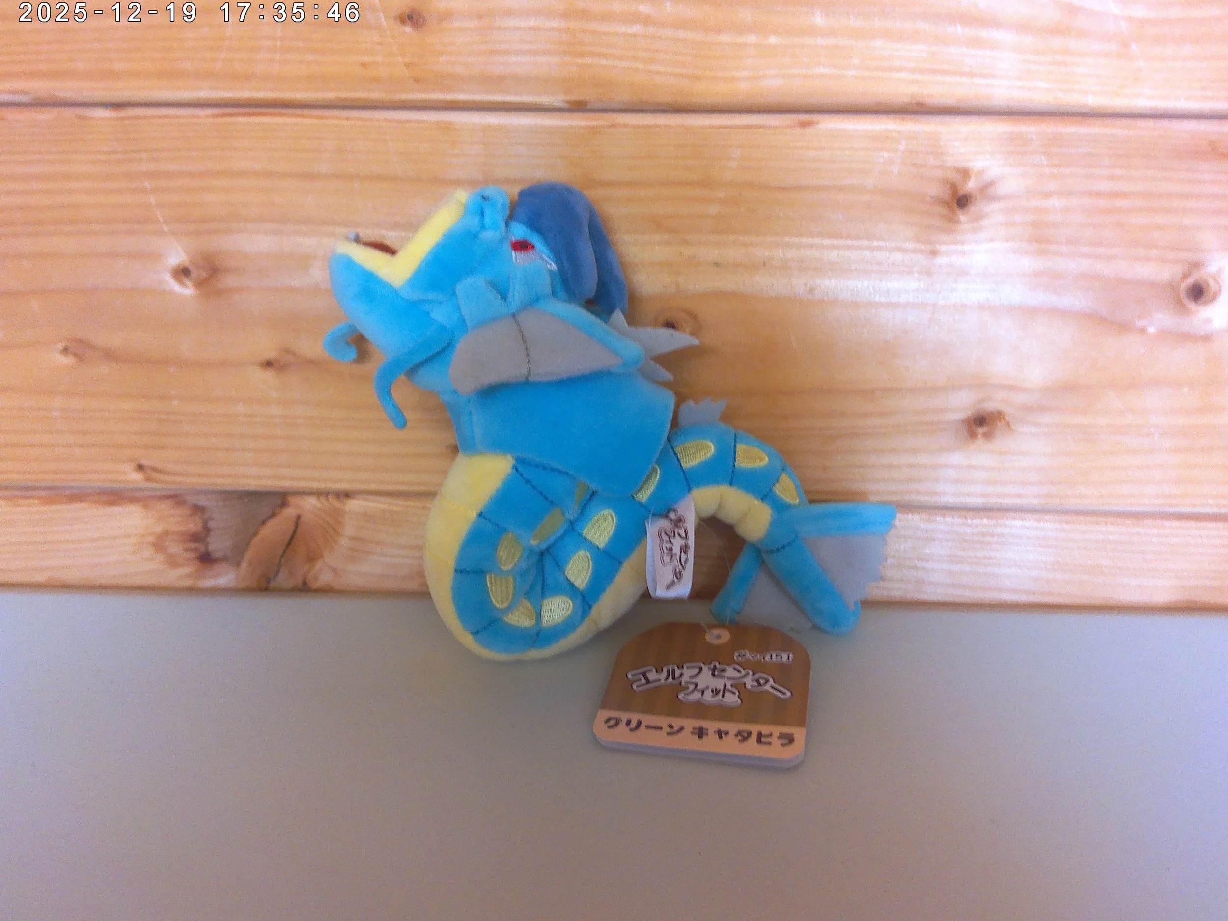 gyarados photo 2.jpg