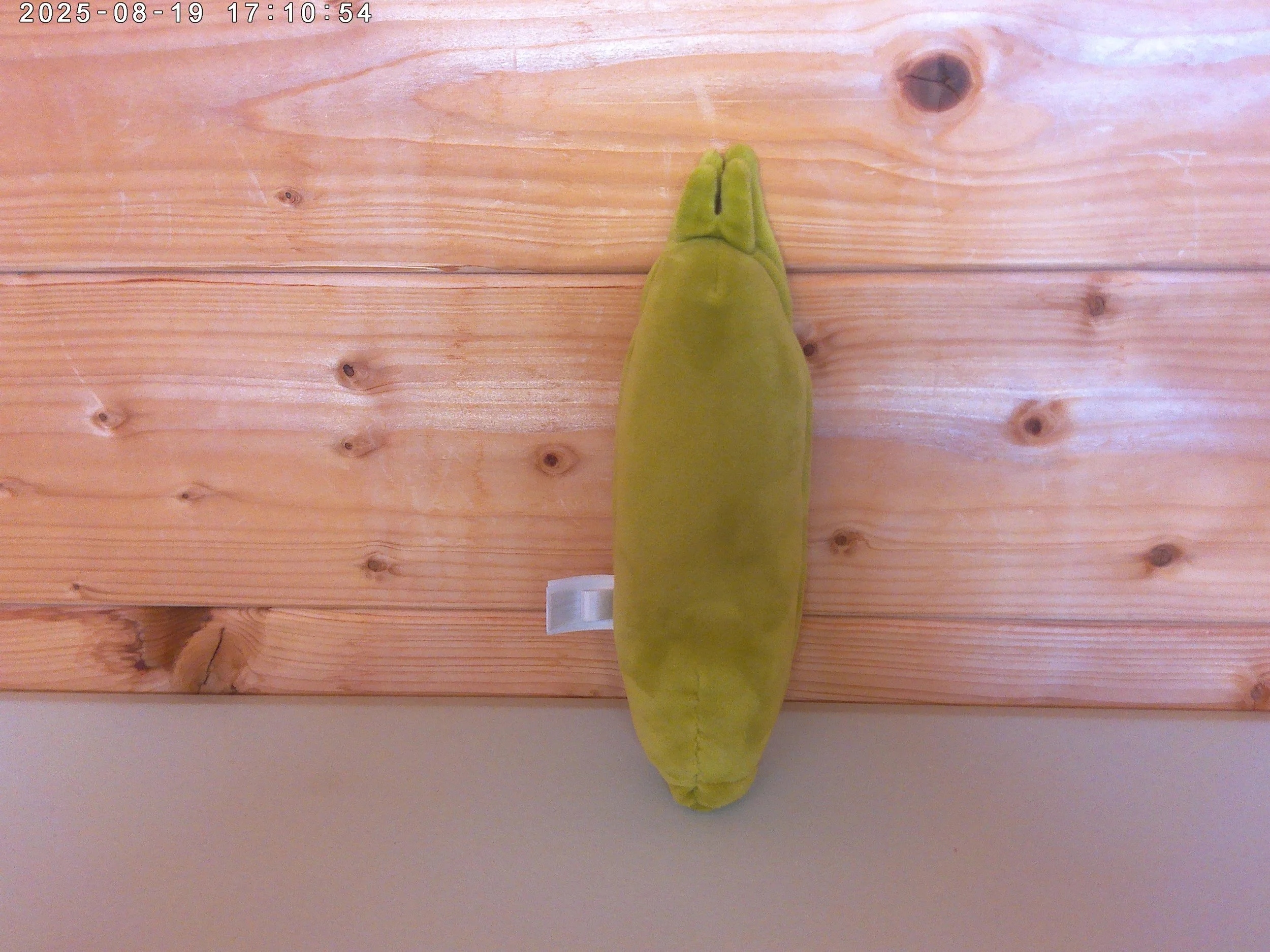 Sweetcorn - photo 2.jpg