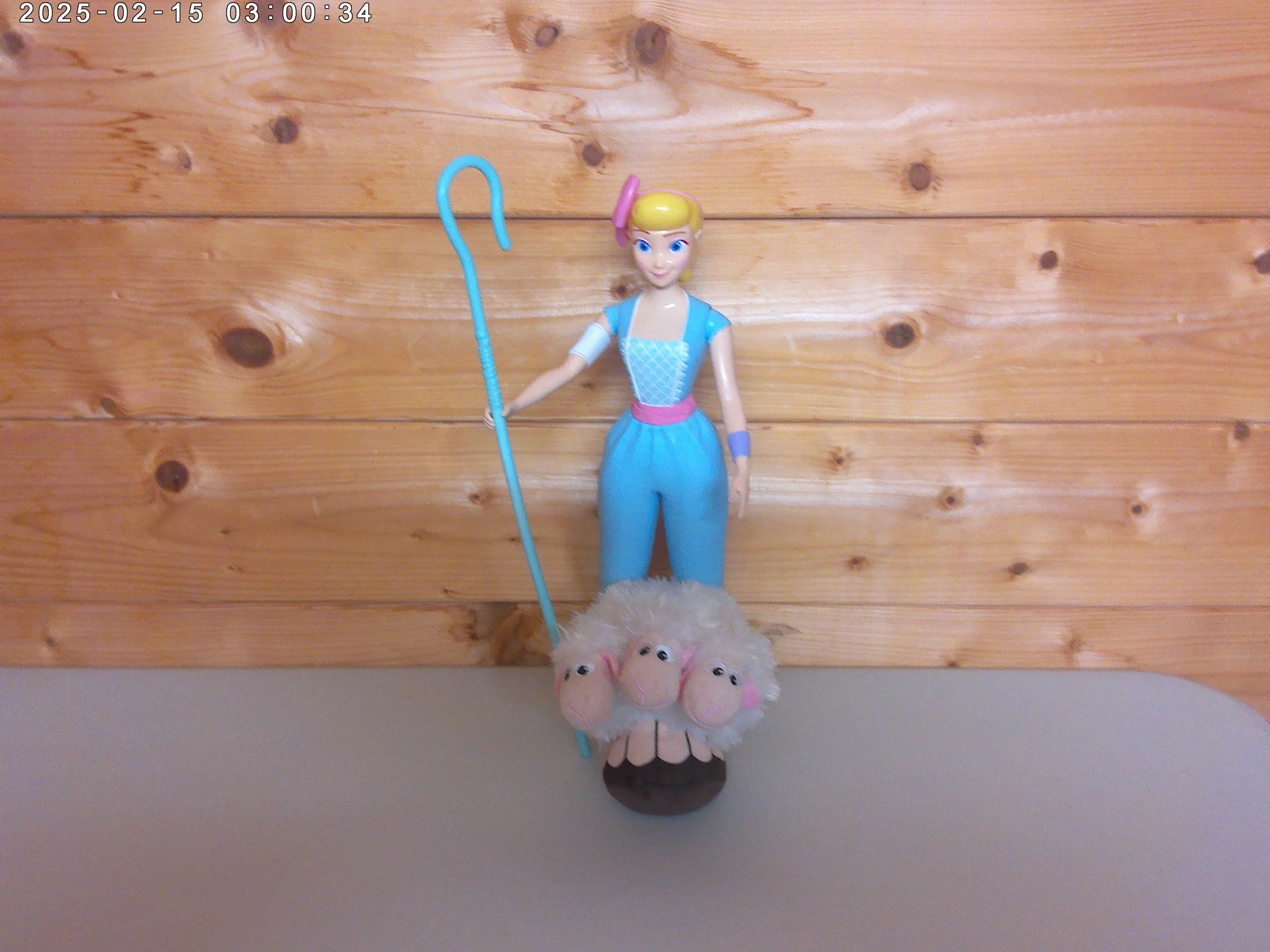 Bo peep and sheep photo 3.jpg