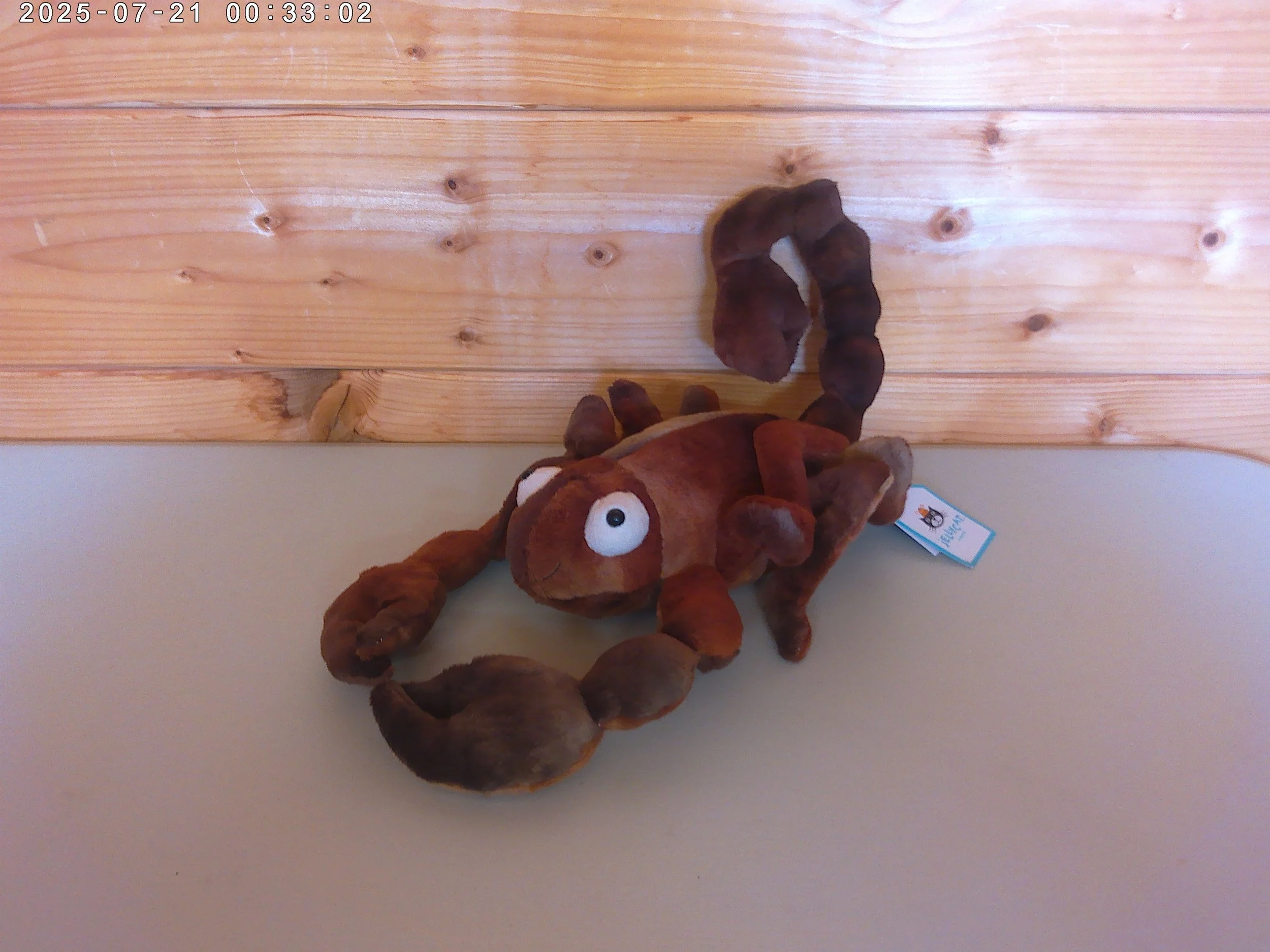 Simon Scorpion - photo 1.jpg