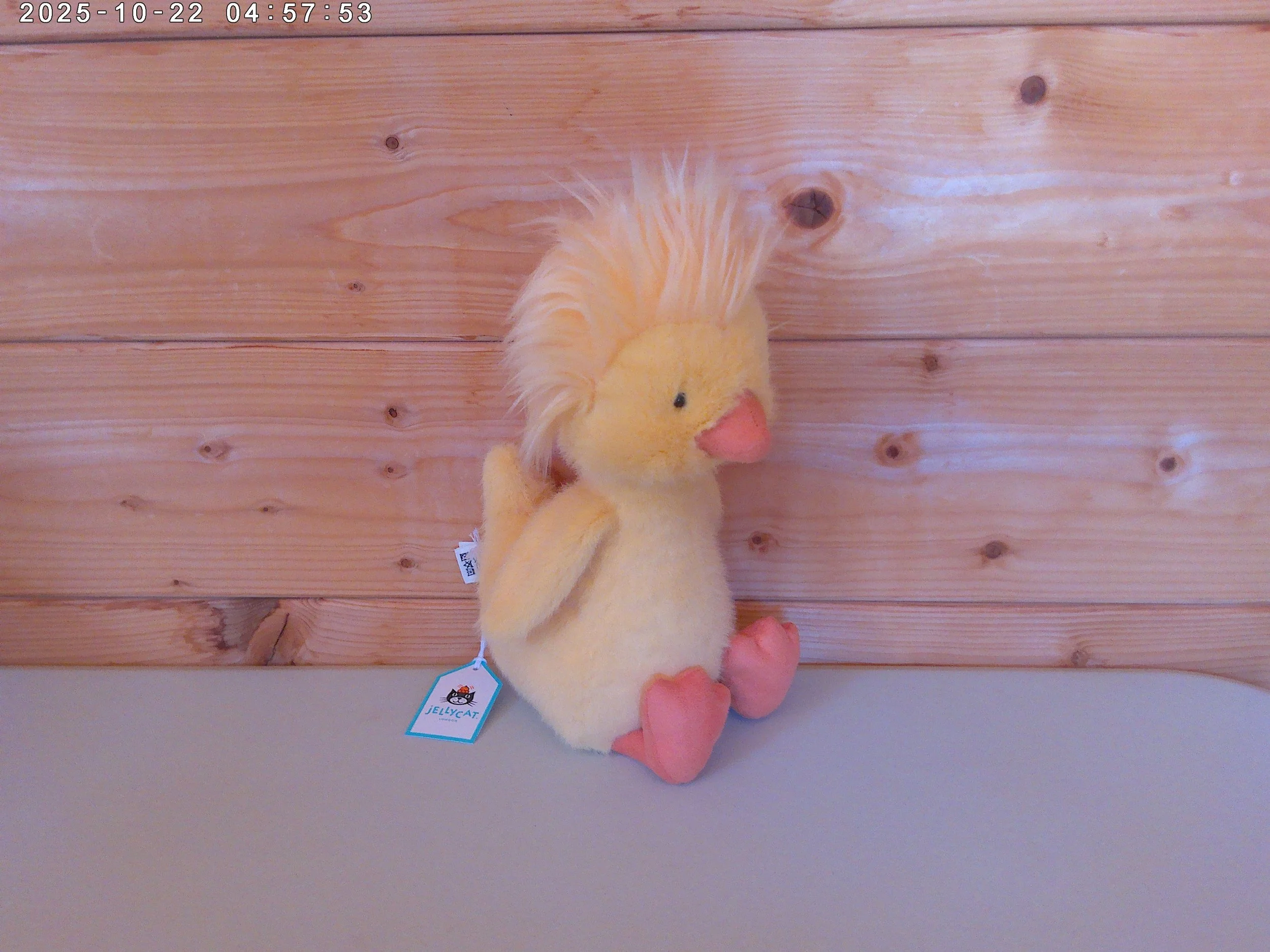 Dorit Duckling - photo 3.jpg