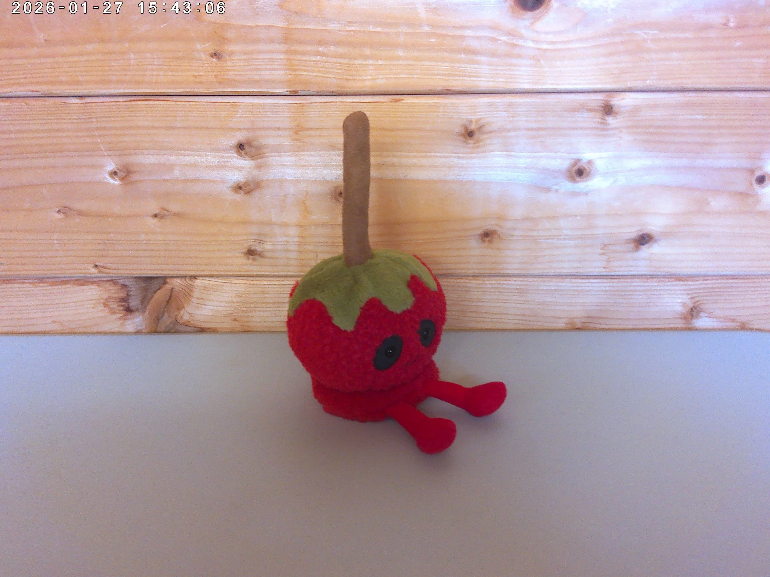 Toffee apple - photo 4.jpg