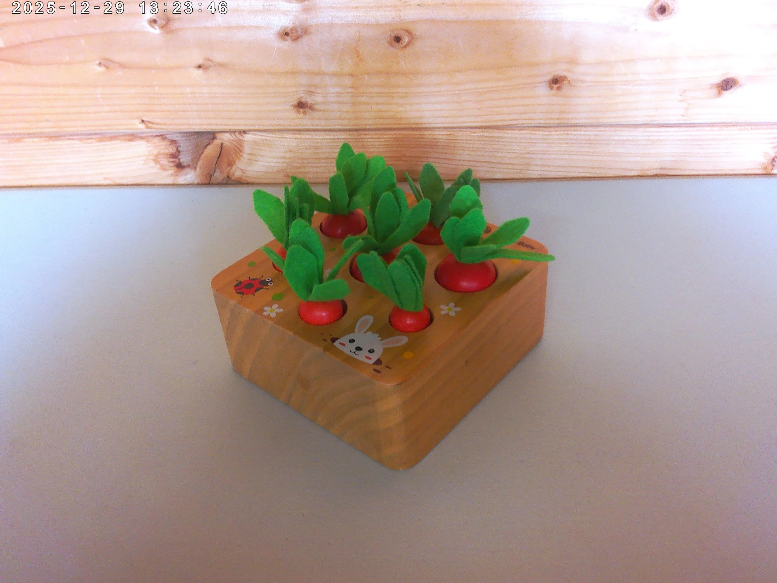 Carrot shape sorter - photo 3.jpg