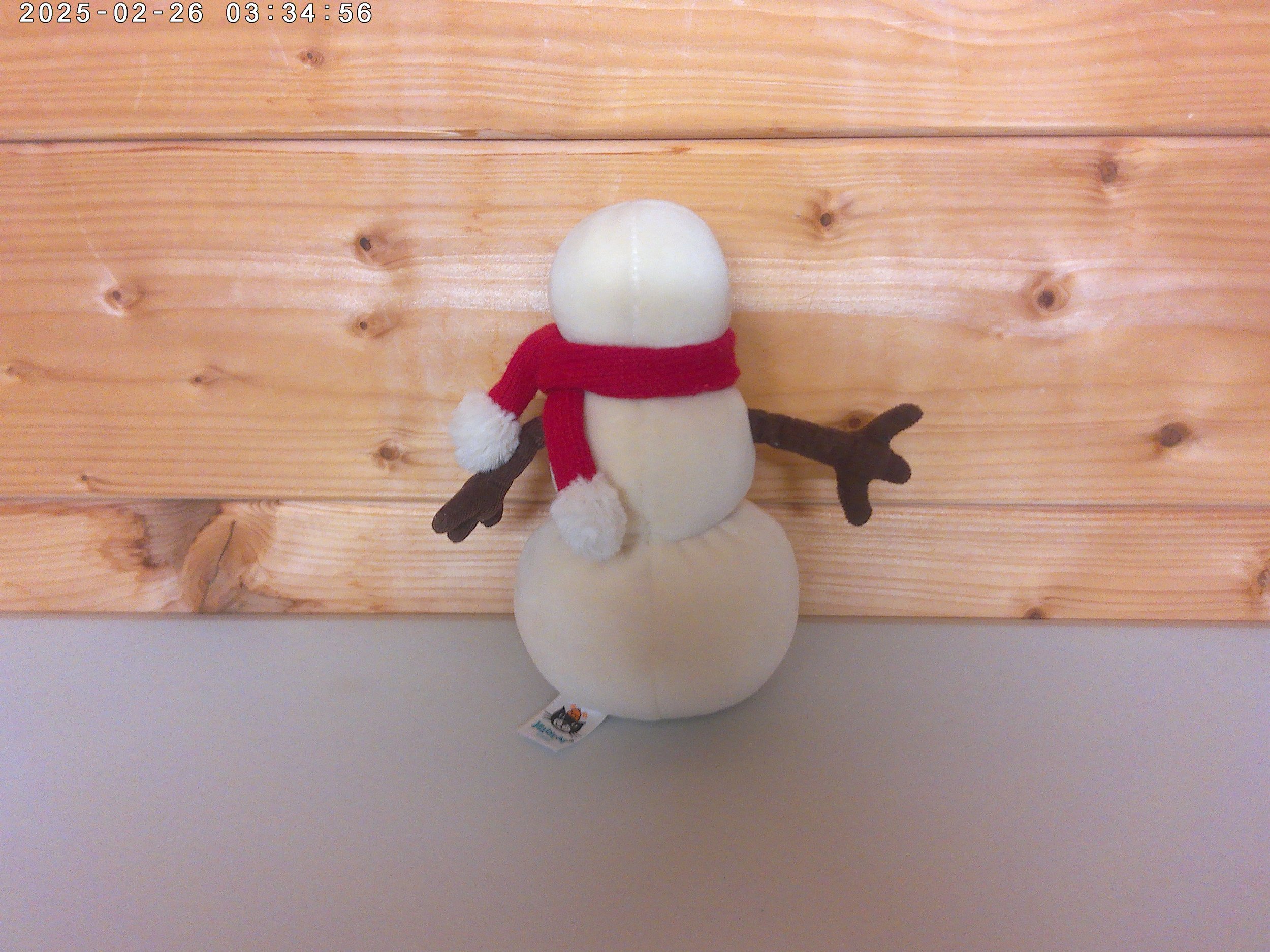 Merry snowman - photo 2.jpg