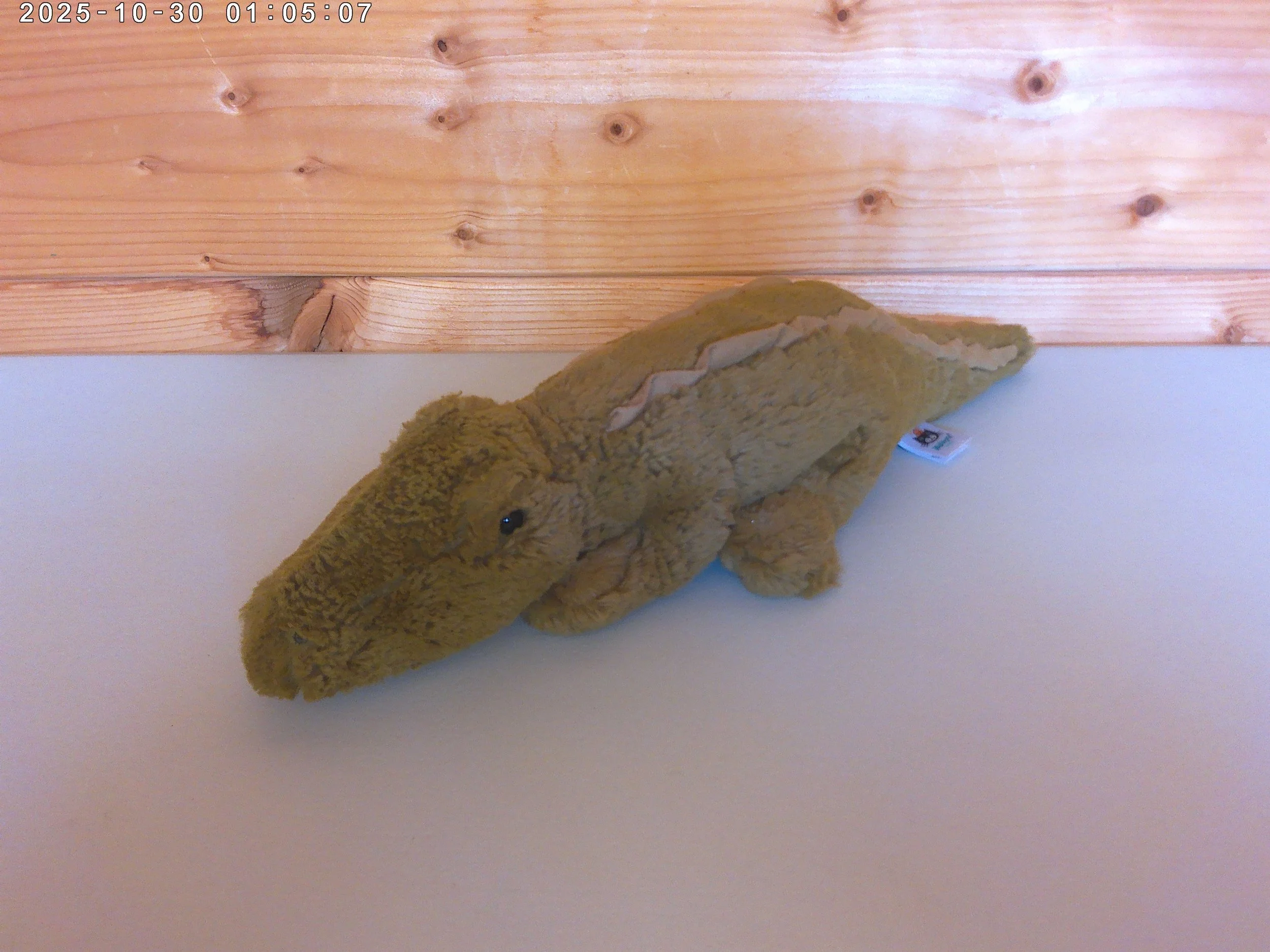 Lollybob croc - photo 1.jpg