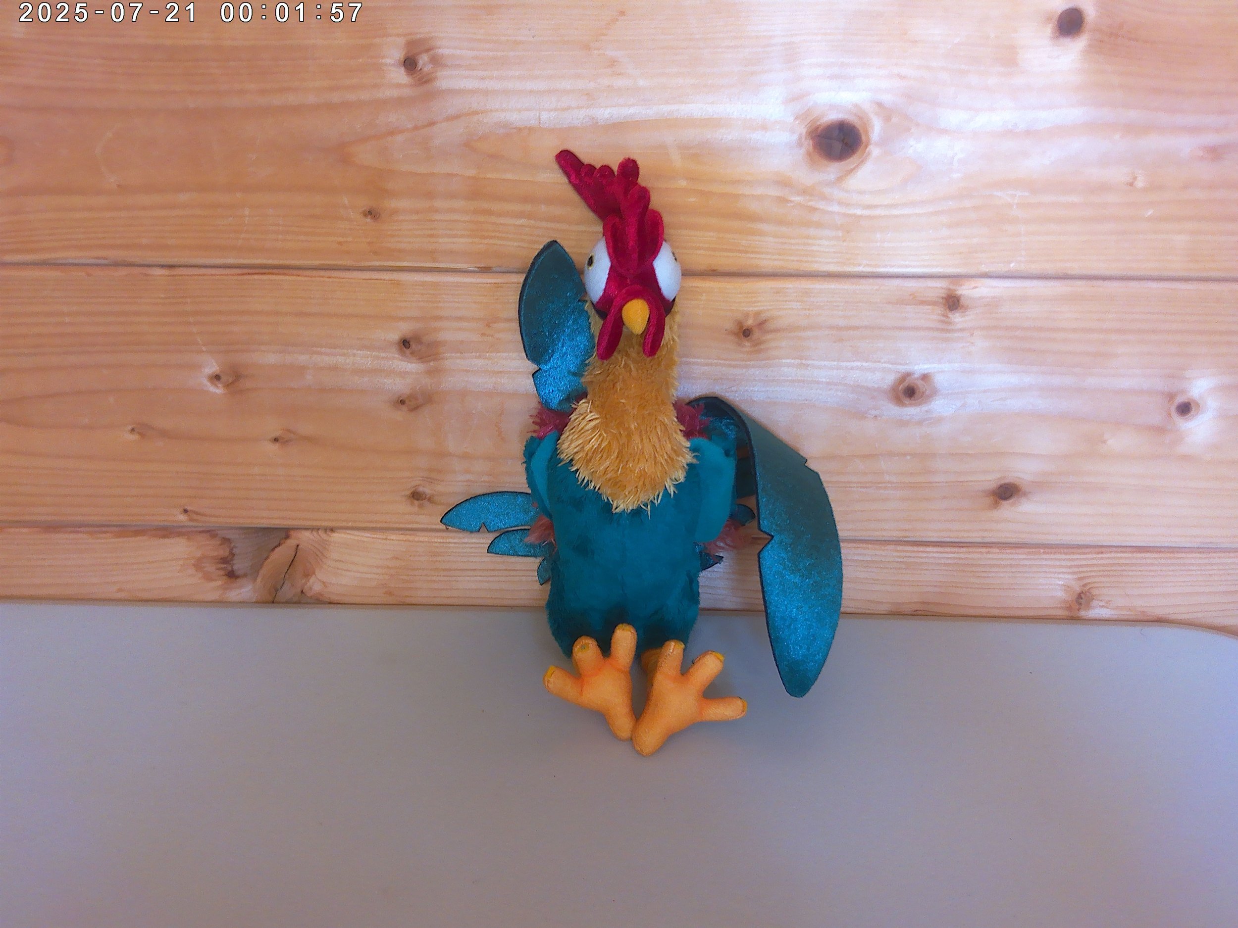 Hei Hei - photo 2.jpg