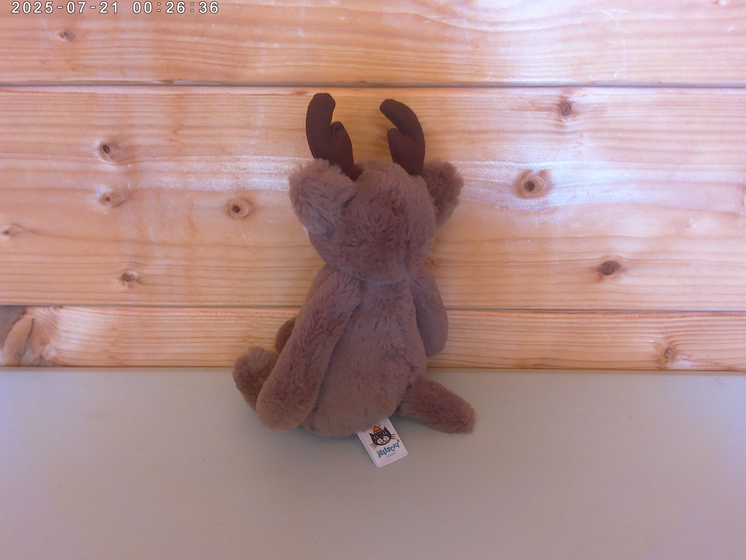 Bashful Reindeer - photo 2.jpg