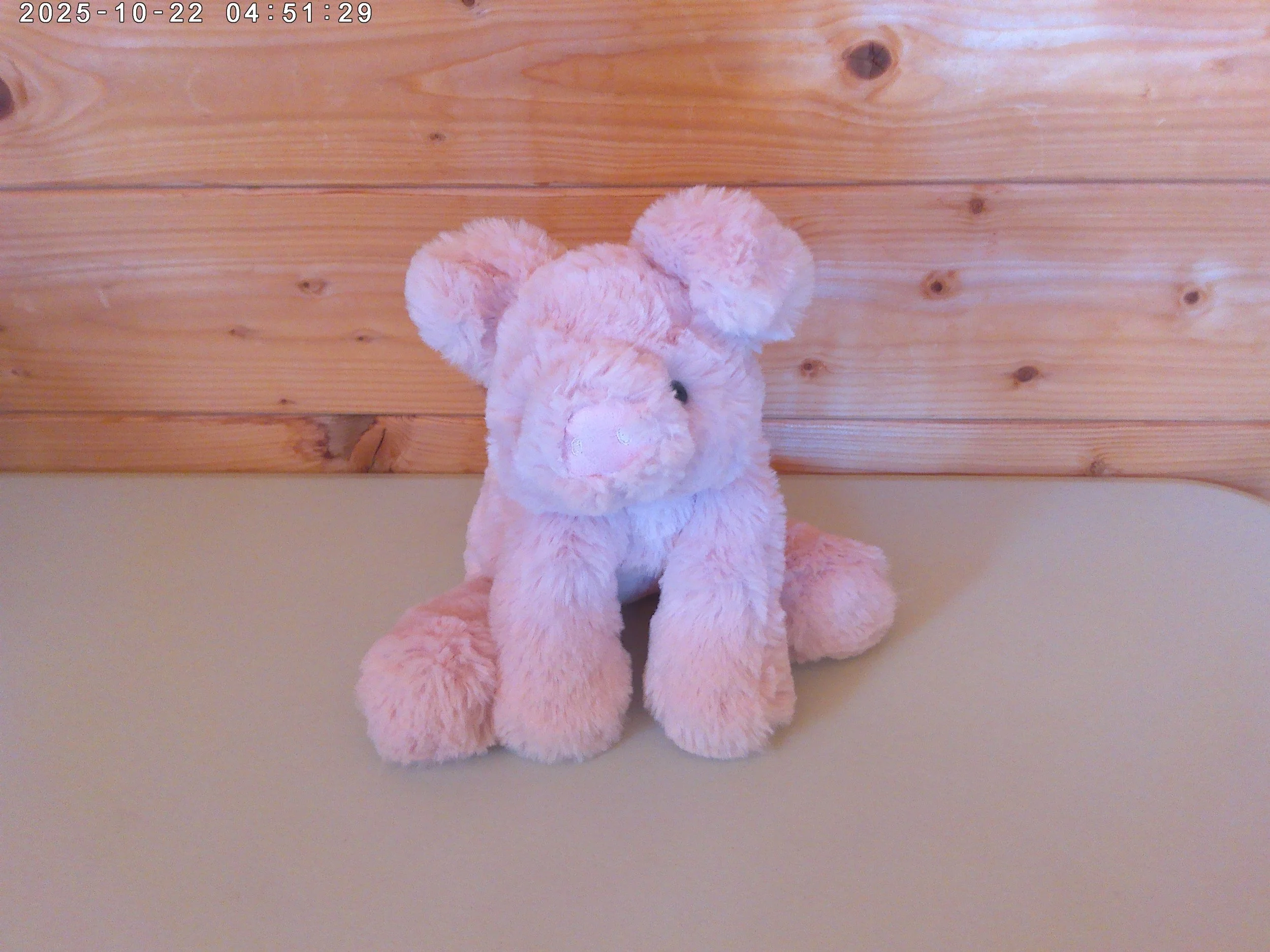 Smudge pig - photo 3.jpg