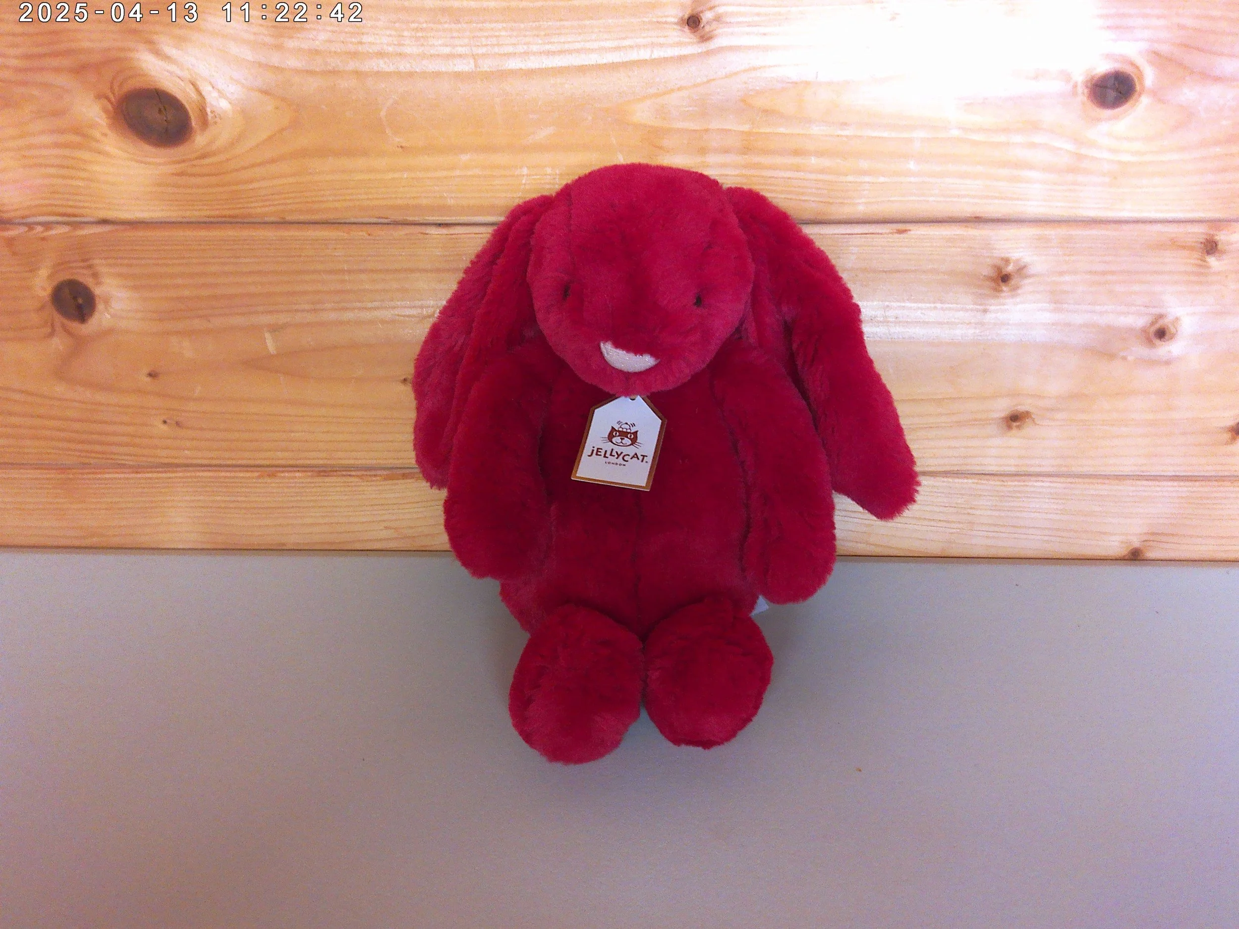 Scarlett bunny medium - photo 1.jpg