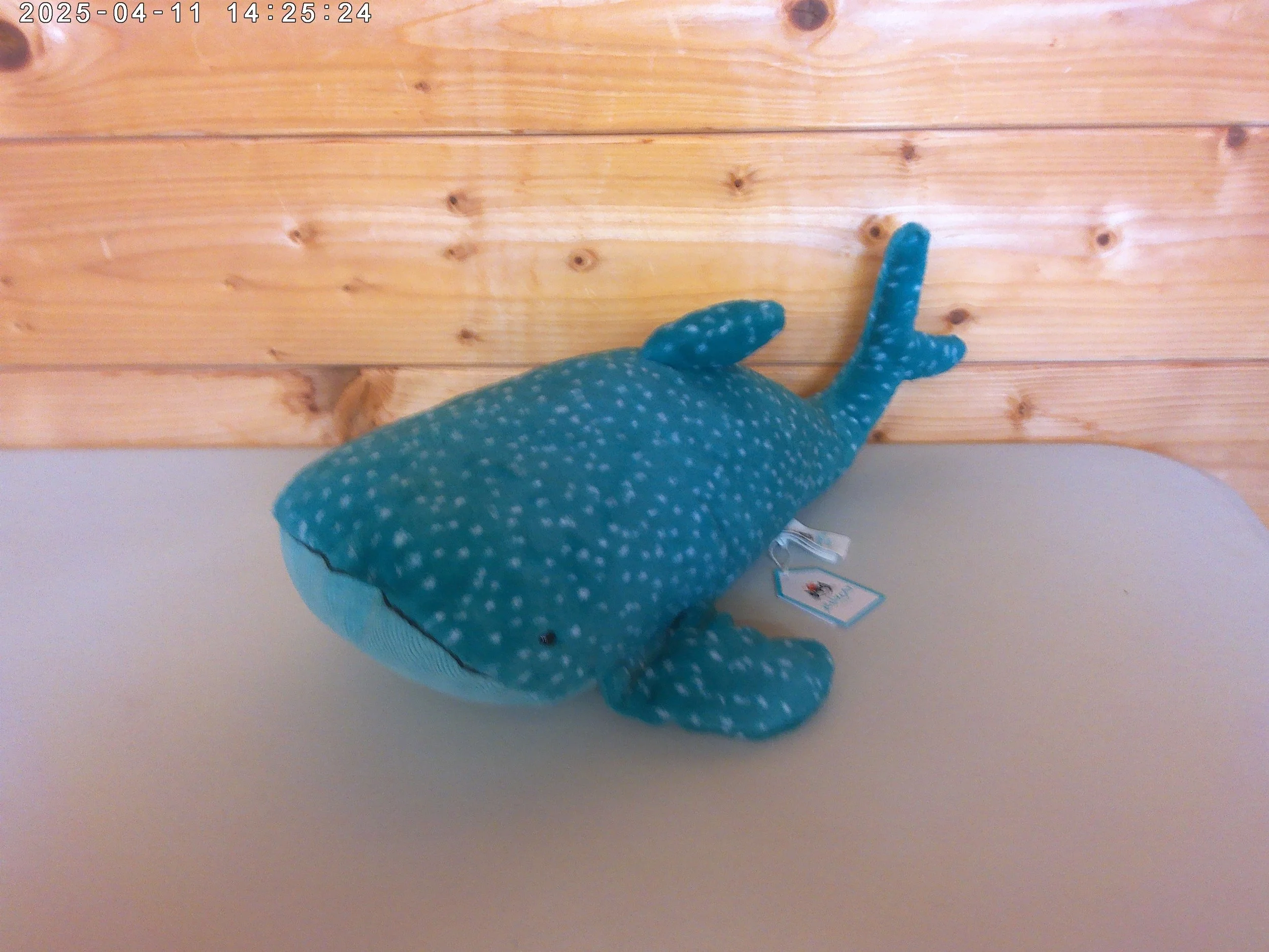 Gobfrey whale - photo 1.jpg