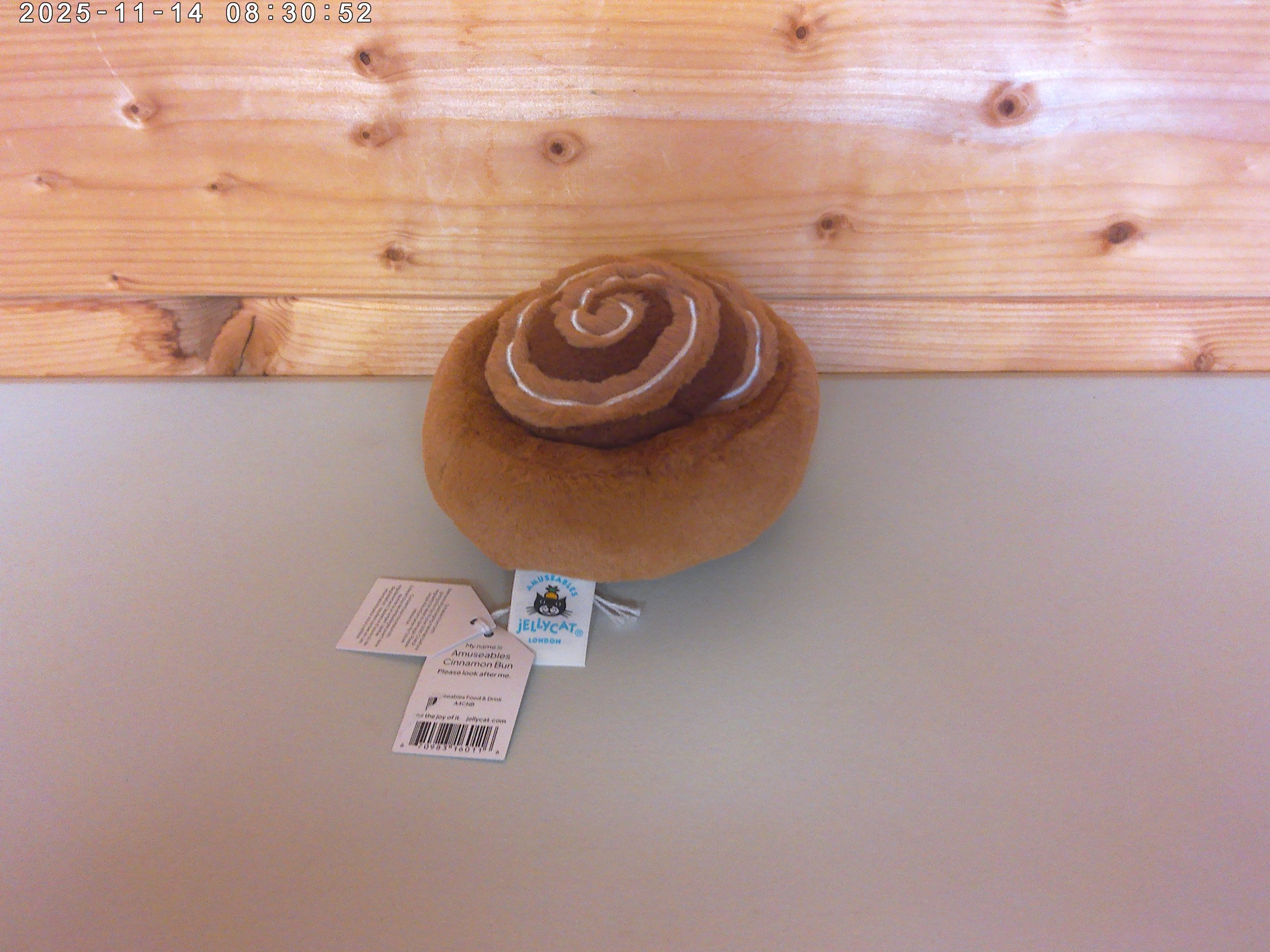 Cinnamon bun - photo 2.jpg