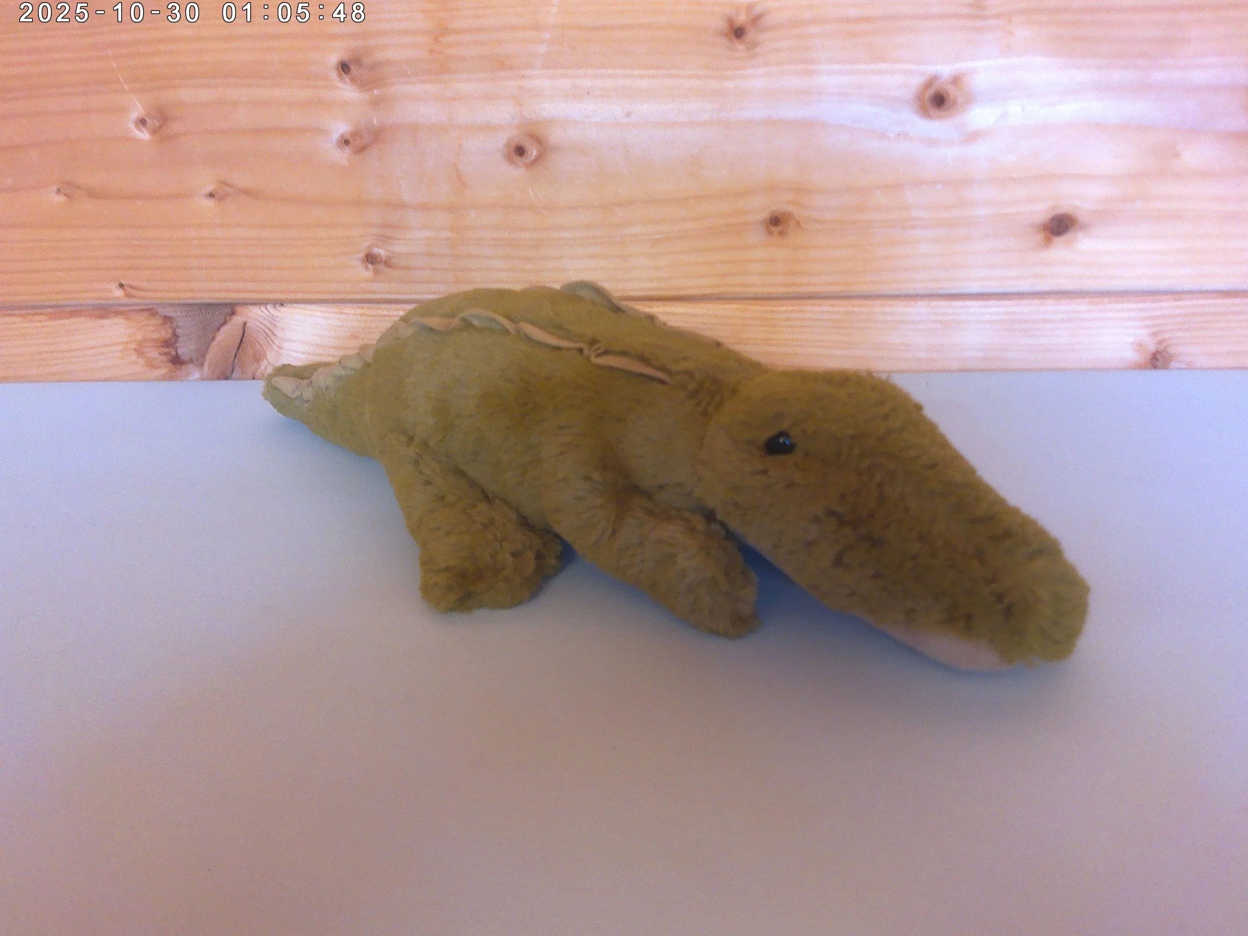 Lollybob croc - photo 4.jpg