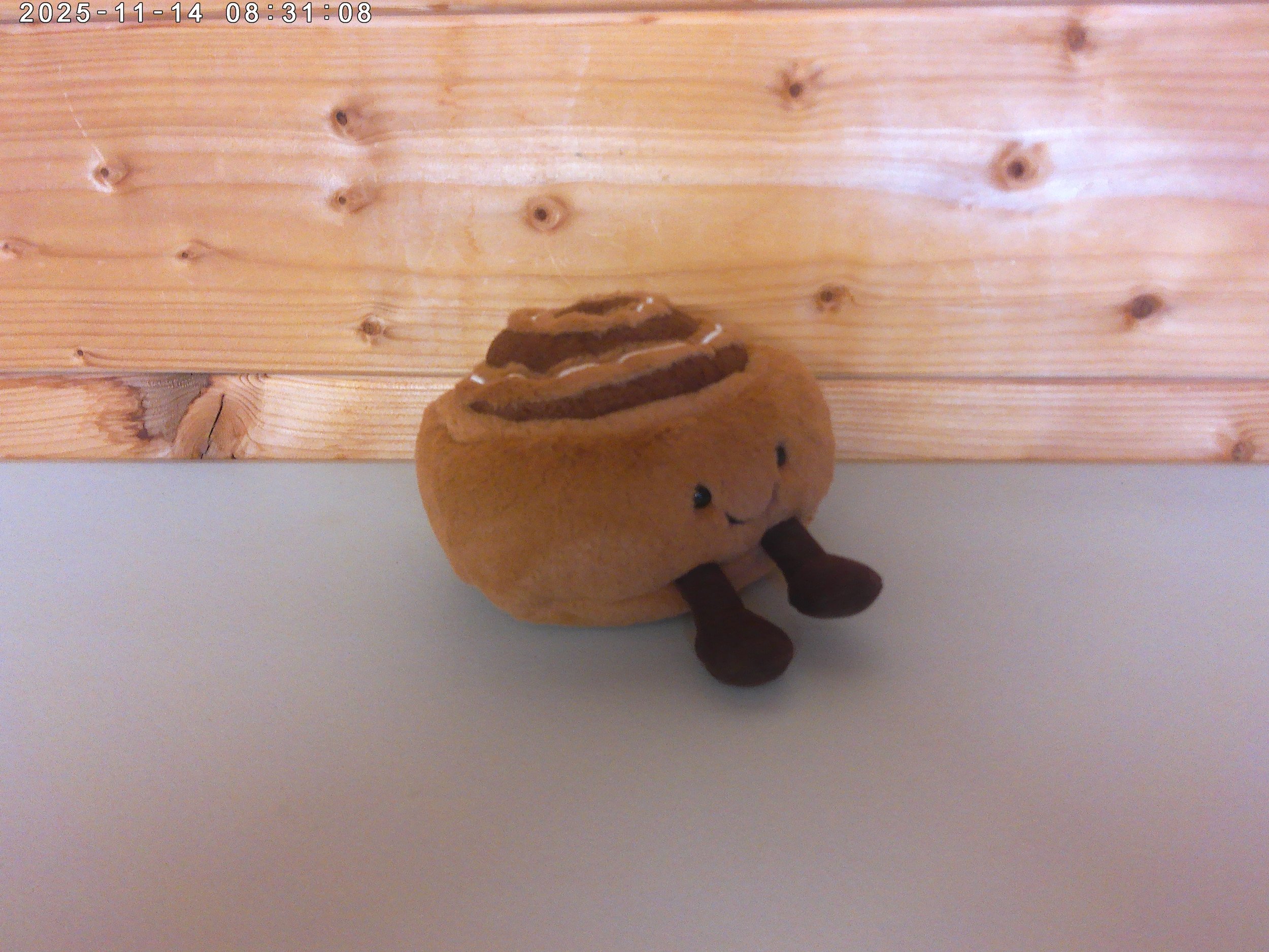 Cinnamon bun - photo 3.jpg