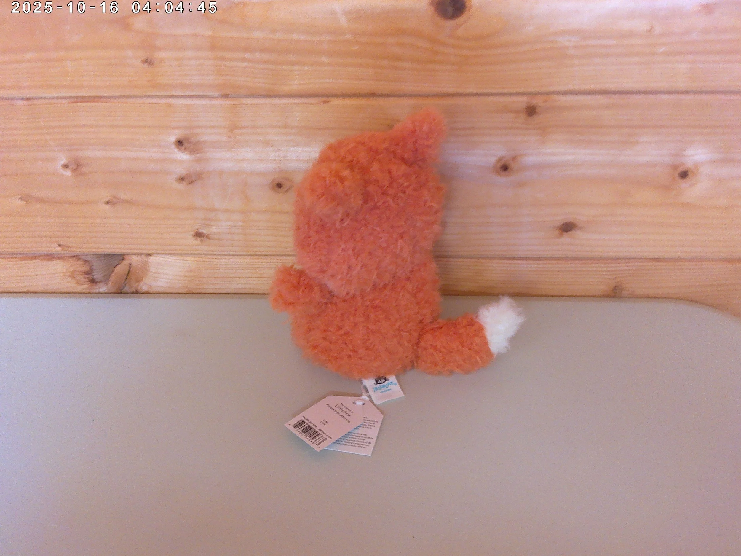Little Fox - photo 2.jpg