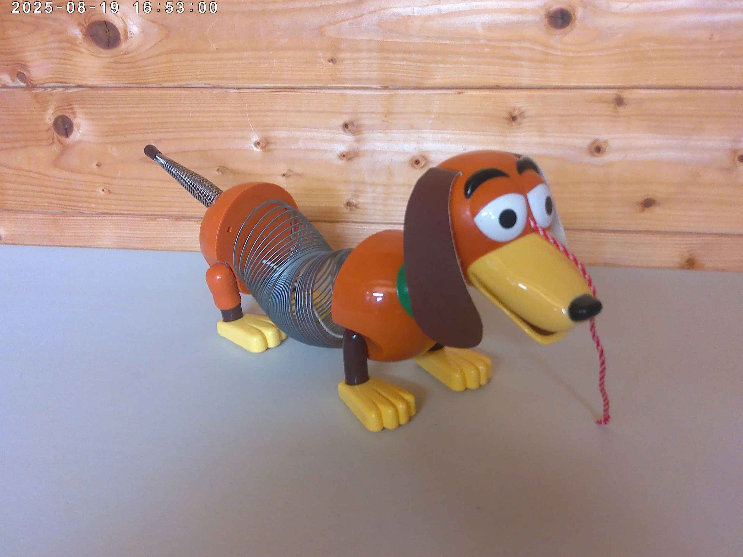Slinky dog - photo 3.jpg