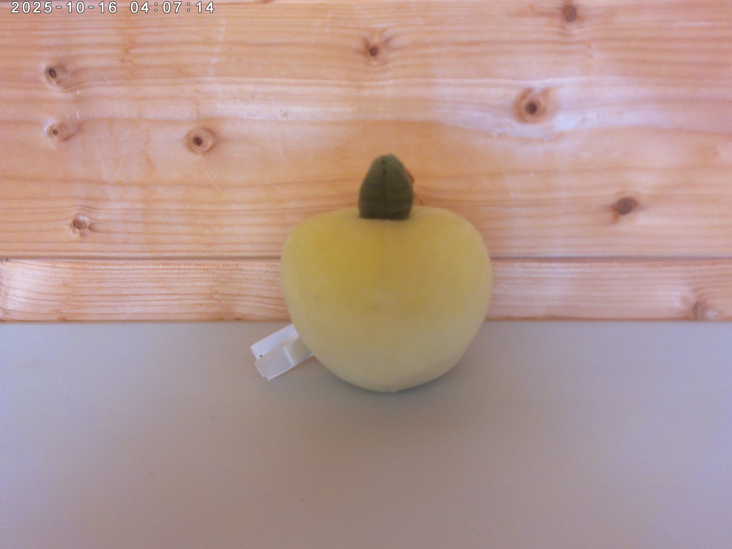 Fab apple - photo 2.jpg