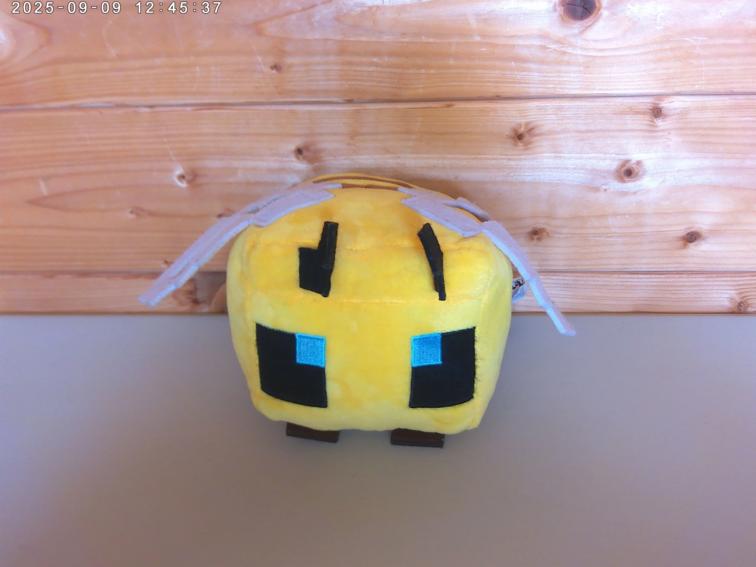 Bee - photo 4.jpg
