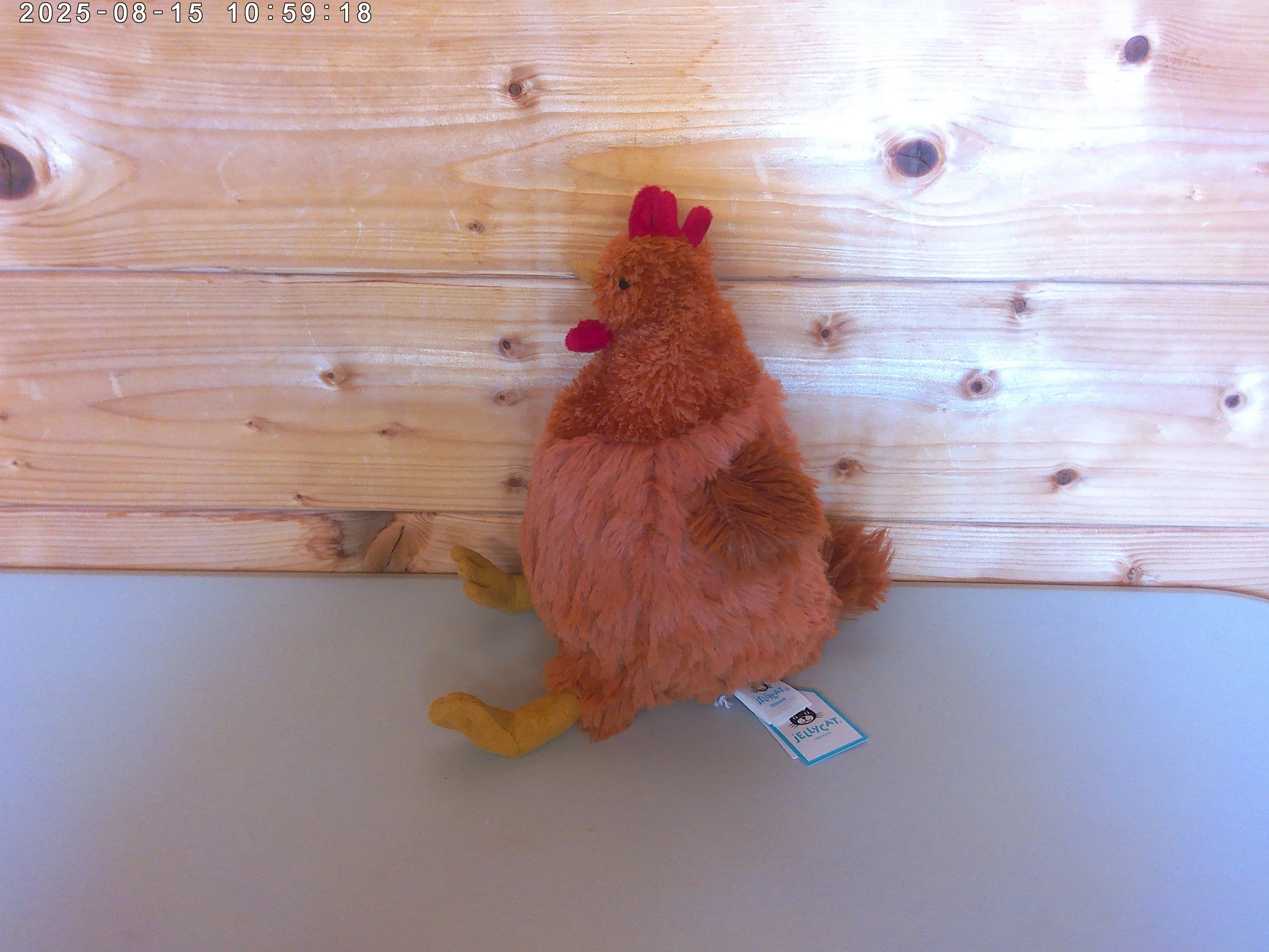 Celia chicken - photo 3.jpg